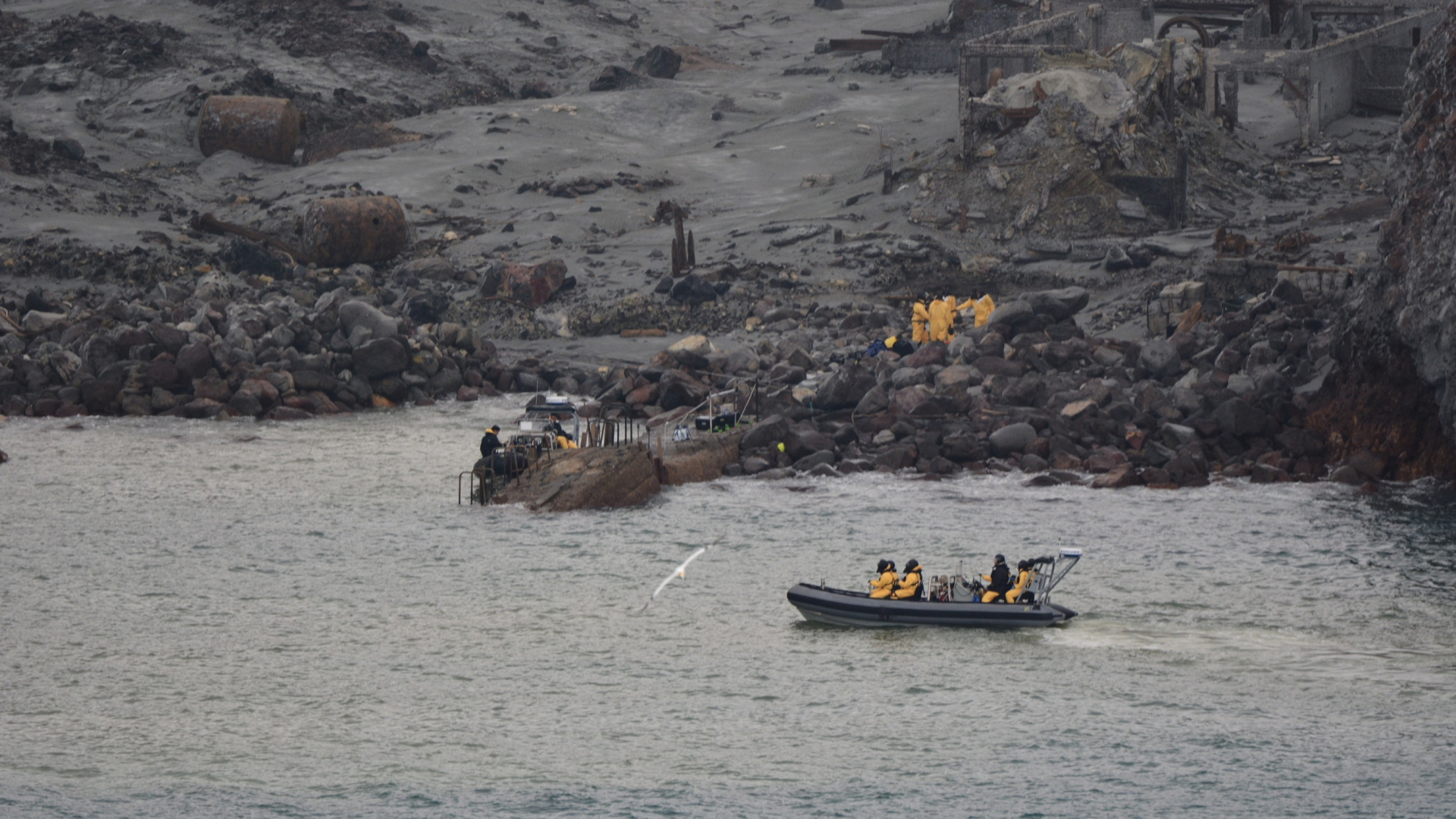 Bergunsgtrupps auf White Island im Einsatz | Bildquelle: AP