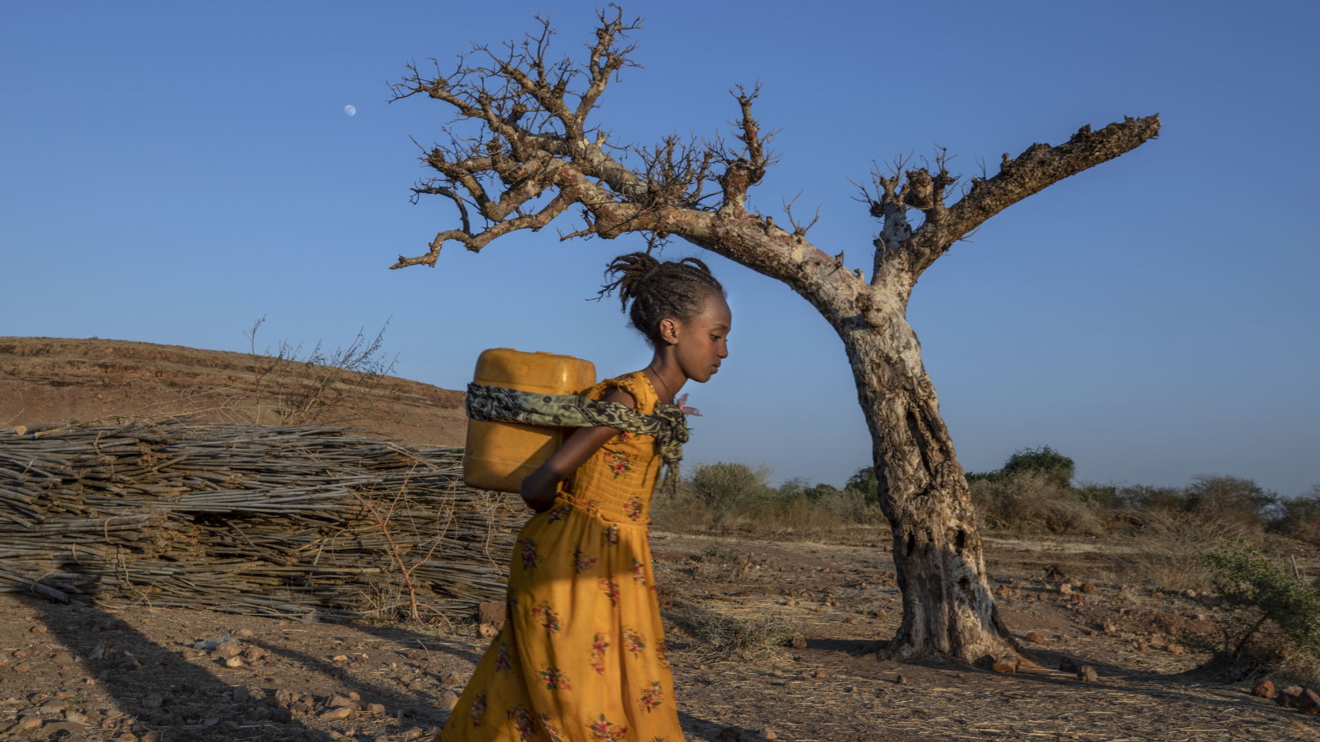 Eine Frau, die vor dem Konflikt in der äthiopischen Region Tigray geflohen ist, trägt Wasser auf ihrem Rücken n einem Flüchtlingslager im Ostsudan | dpa