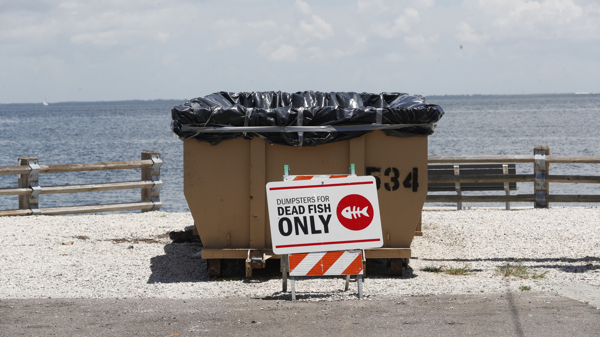 Container für tote Fische im Bay Vista Park in St. Petersburg, Florida. | AFP
