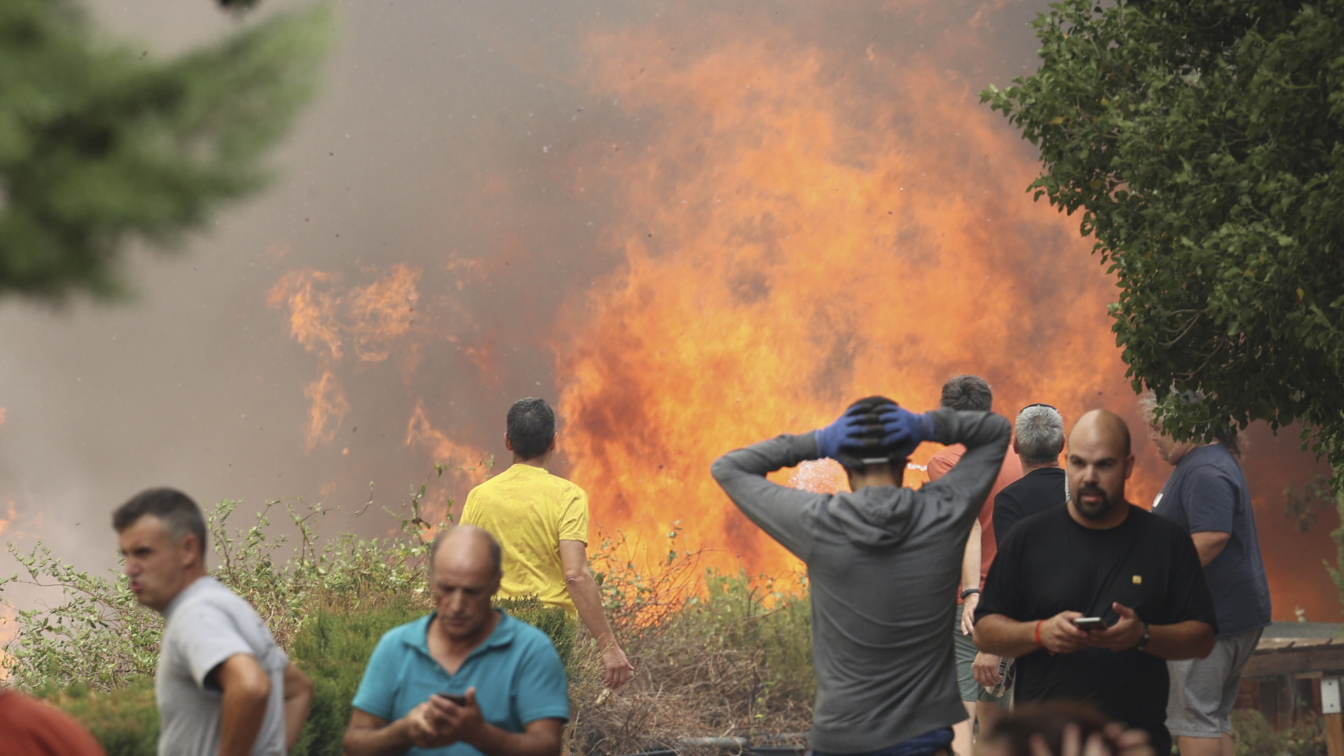 Provinz Saragossa: Waldbrand in Spanien außer Kontrolle