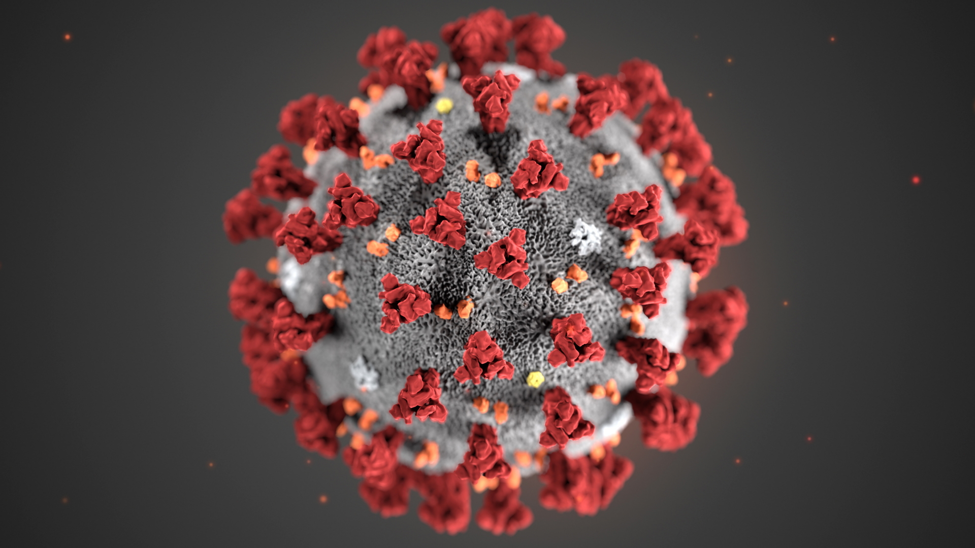 Das Bild zeigt das Coronavirus 