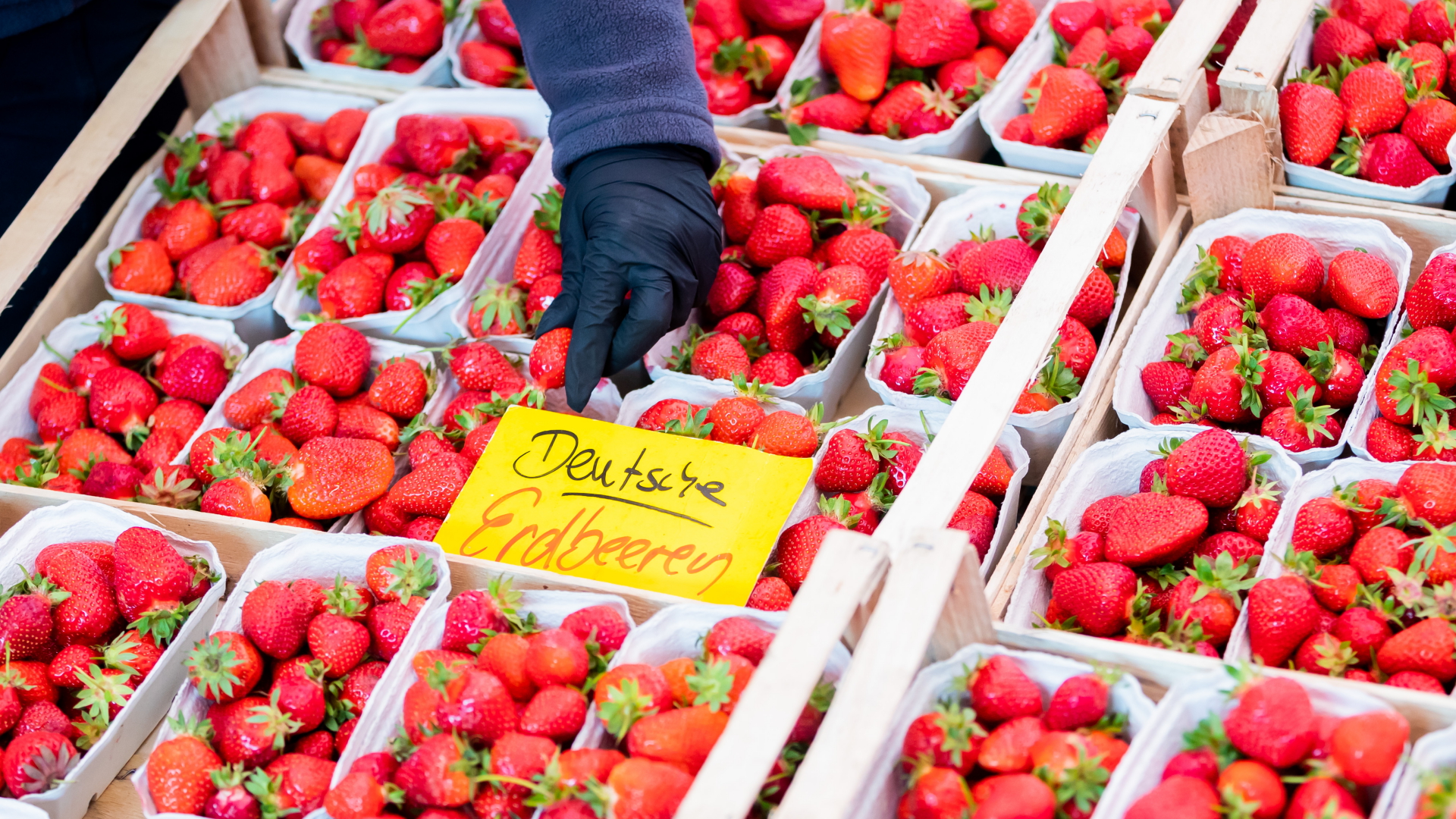 Erdbeeren auf dem Wochenmarkt | dpa