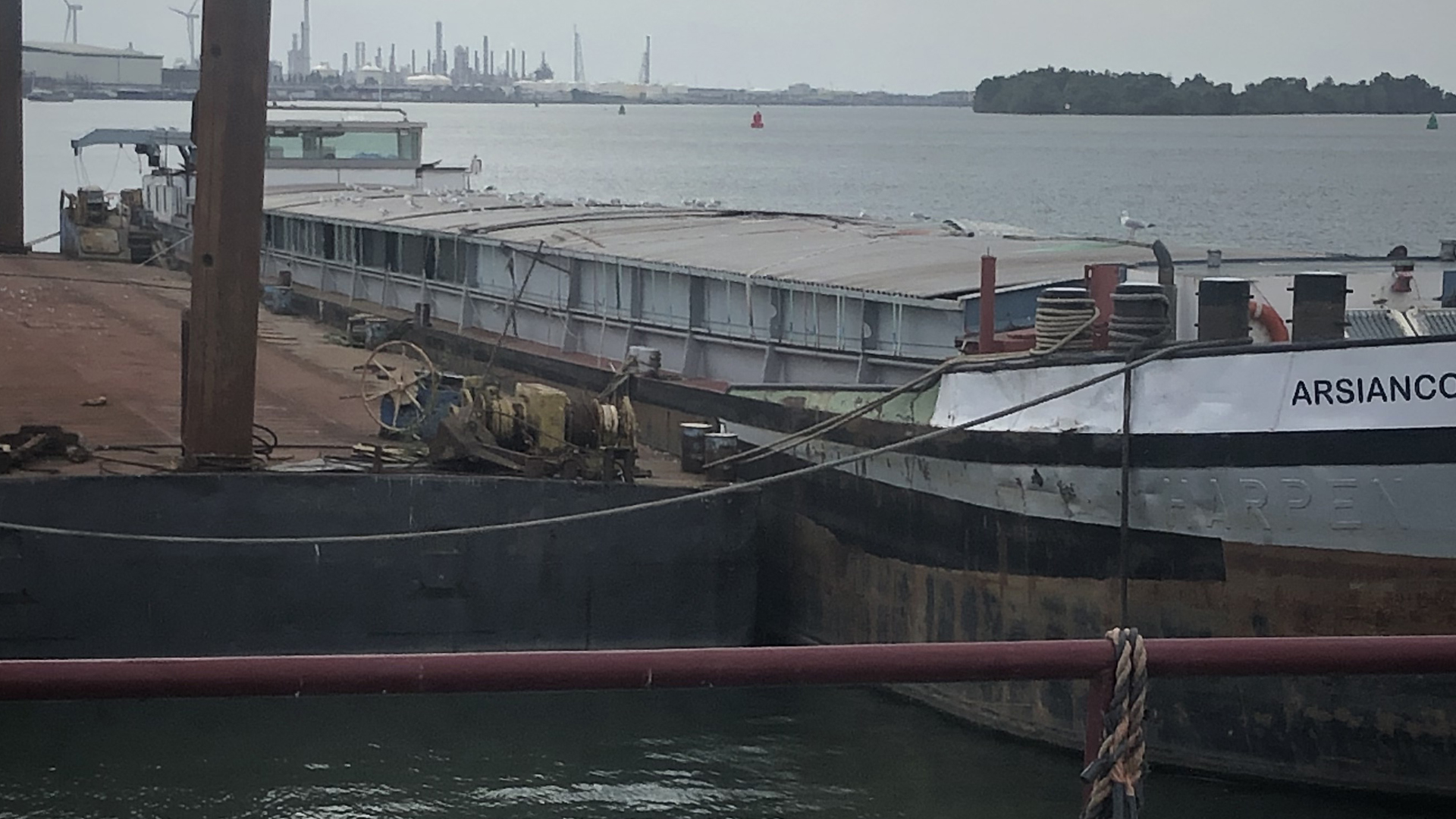 Das Schiff MS Arsianco liegt im Hafen von Moerdijk | NDR