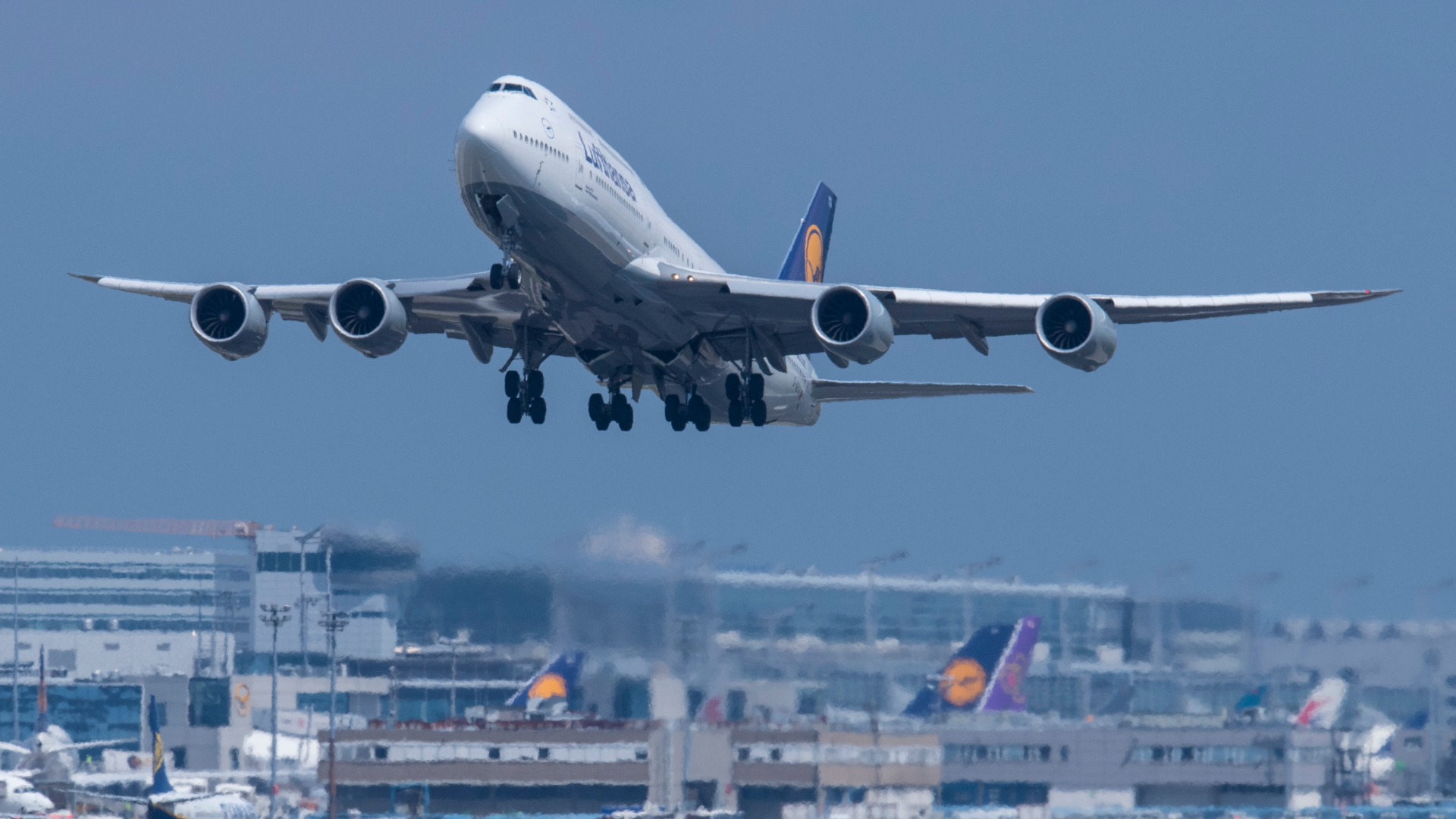 Eine Boeing 747 der Lufthansa hebt vom Frankfurter Flughafen ab (Archivbild)