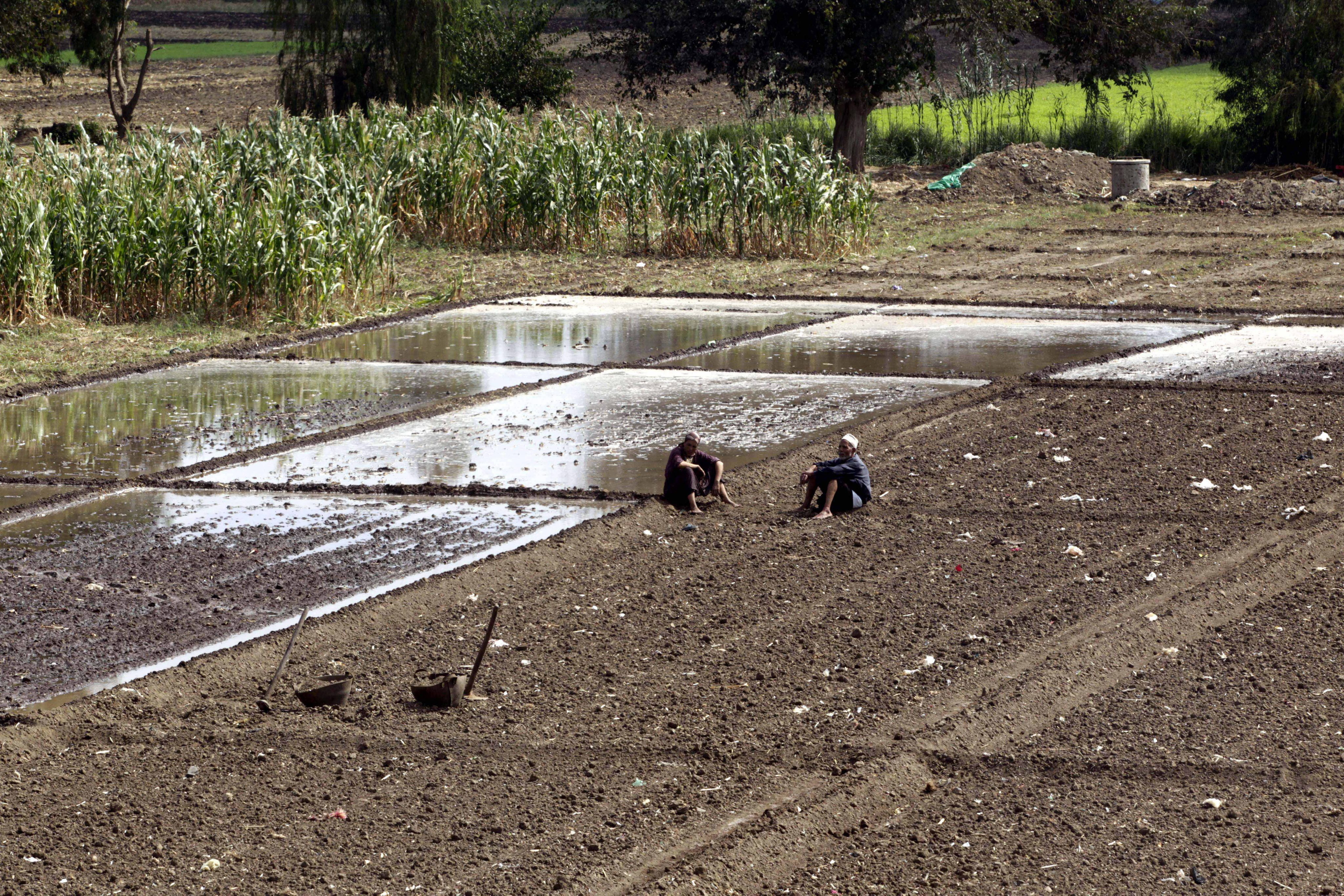 Feldarbeiter pausieren am Rand von überfluteten Feldern im Nil-Delta | picture alliance / dpa