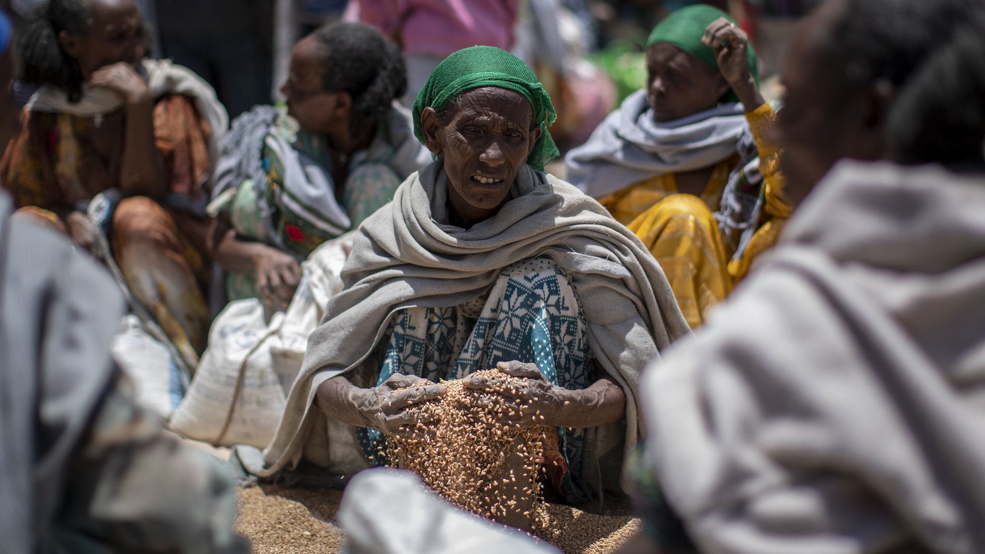 Einer Frau in Tigray rinnt eine Getreideration aus einer Hilfslieferung durch die Hände. | picture alliance / ASSOCIATED PR