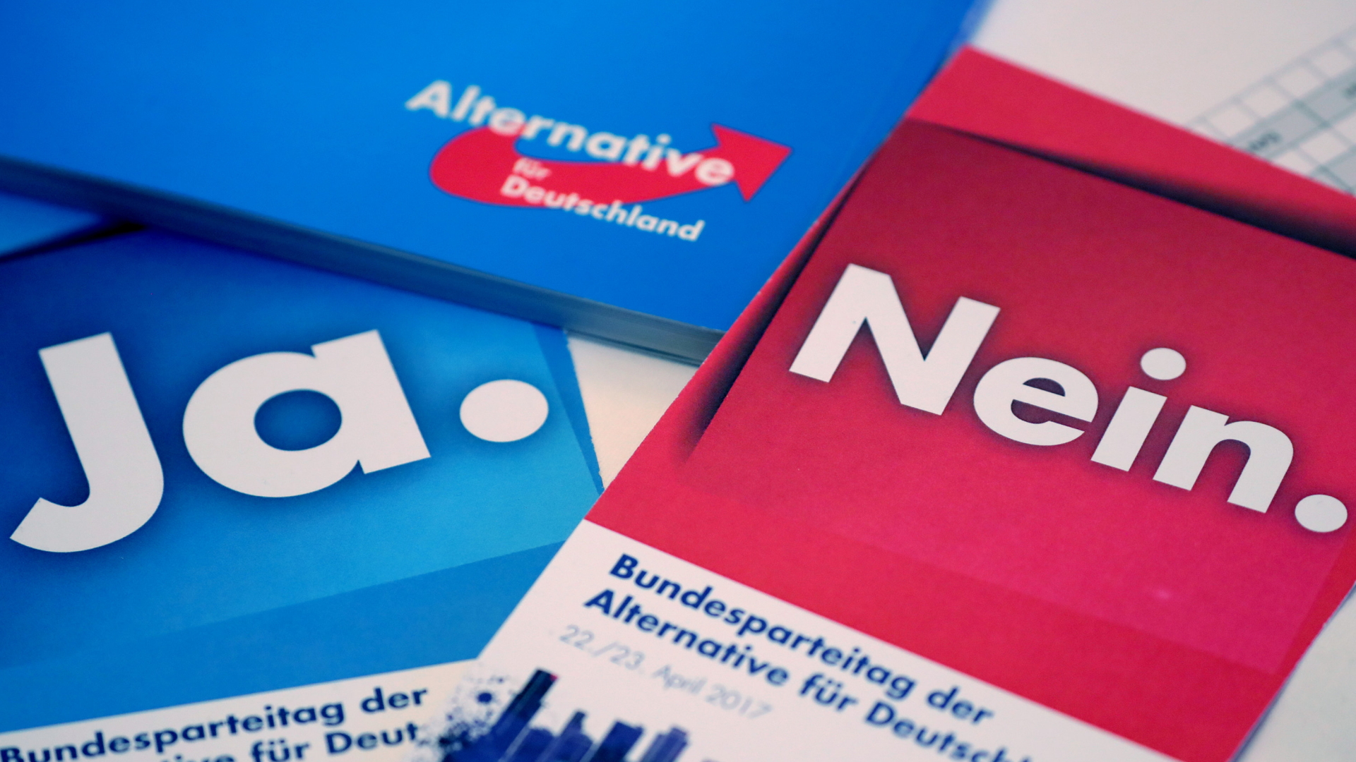Abstimmungskarten beim AfD-Parteitag in Köln | dpa