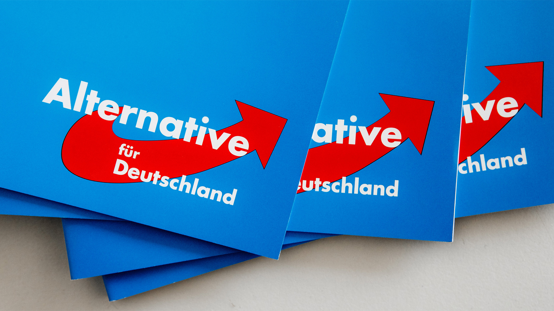 Das Logo der Alternative auf Parteibroschüren