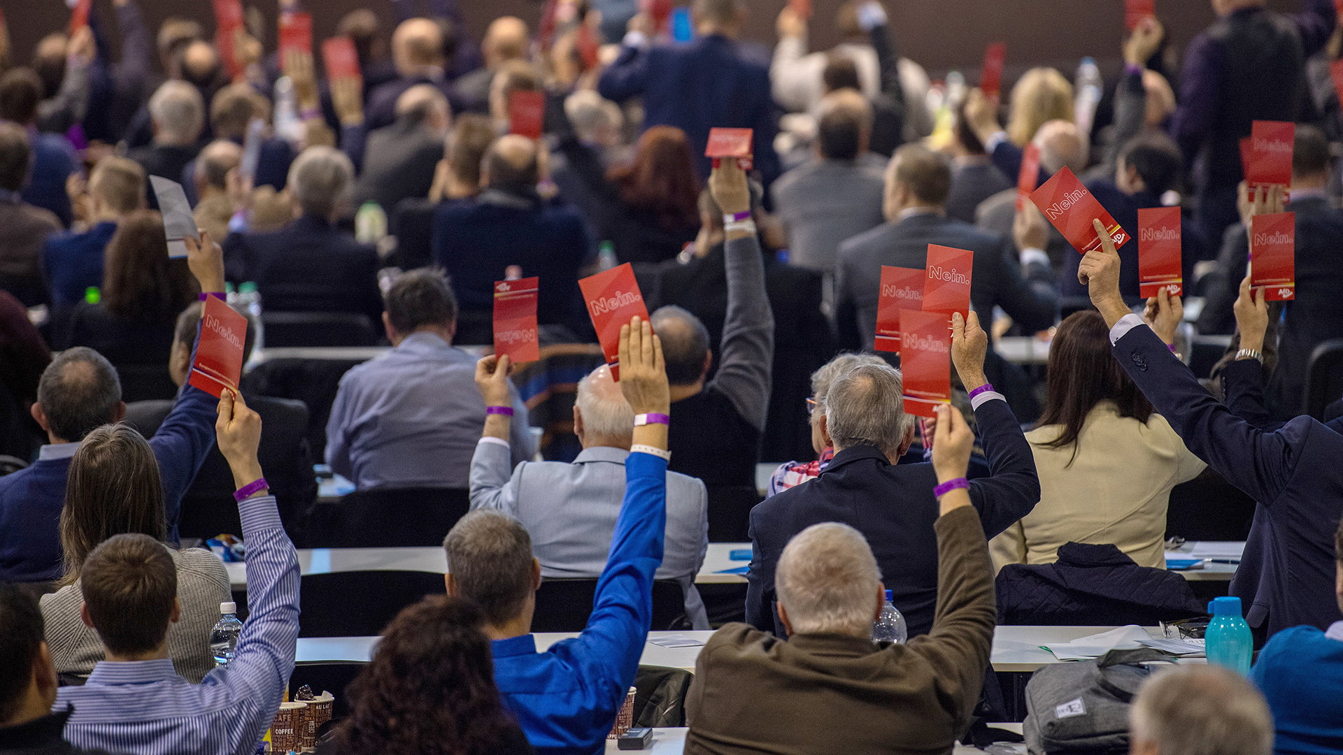Abstimmung der Delegierten während des Europawahlkampfes der AfD. | dpa
