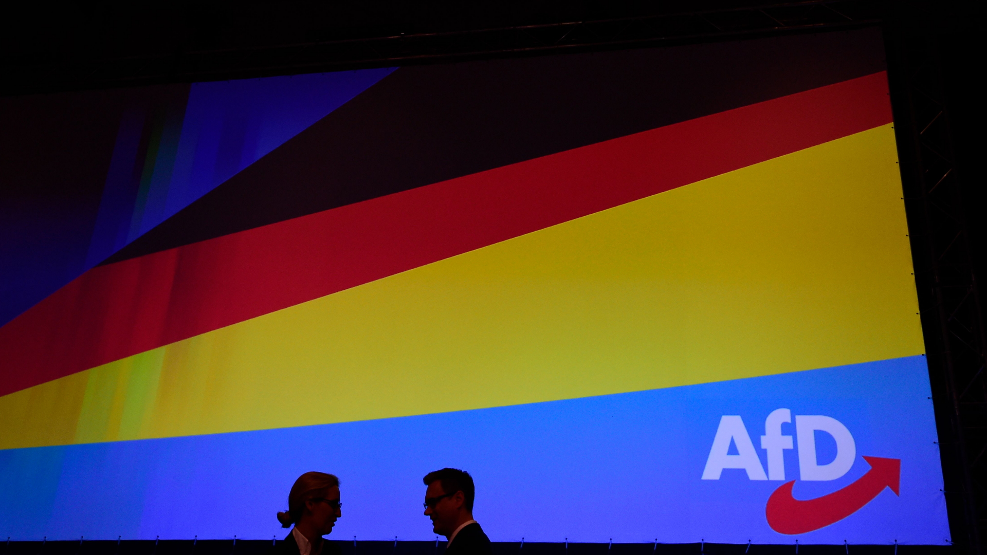 Eine Deutschlandfahne mit einem AfD-Logo | AFP