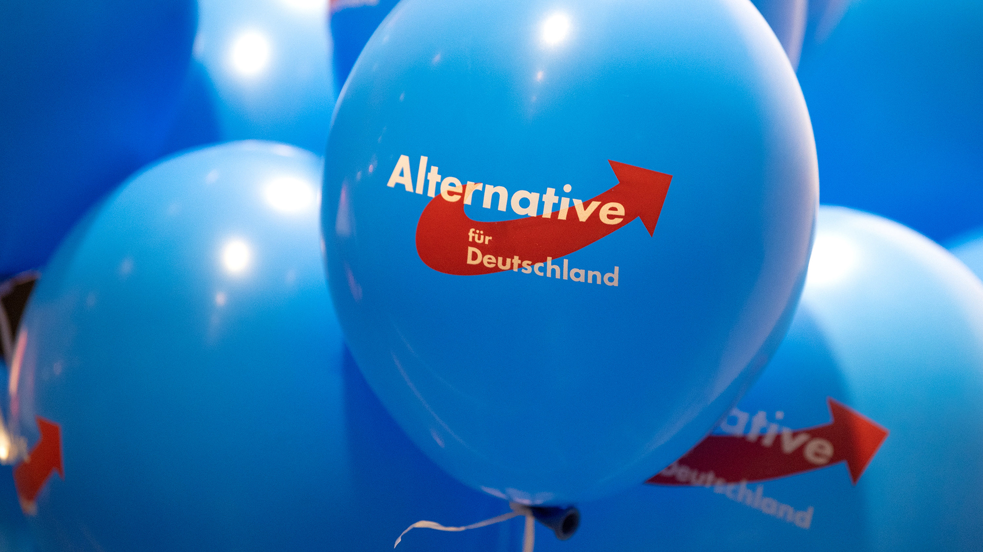 Logo der Alternative für Deutschland auf Luftballons | dpa