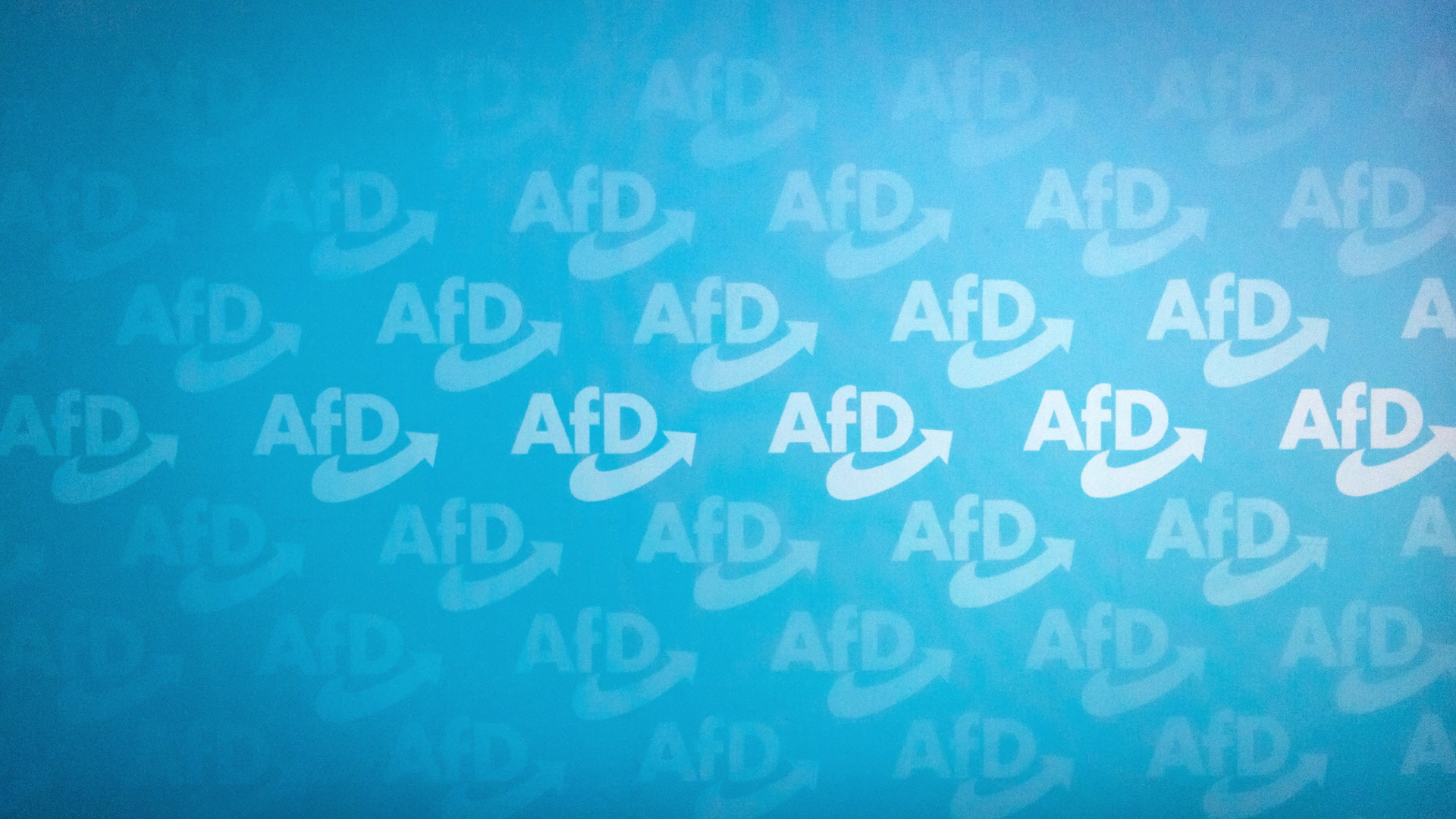 AfD Logos | dpa