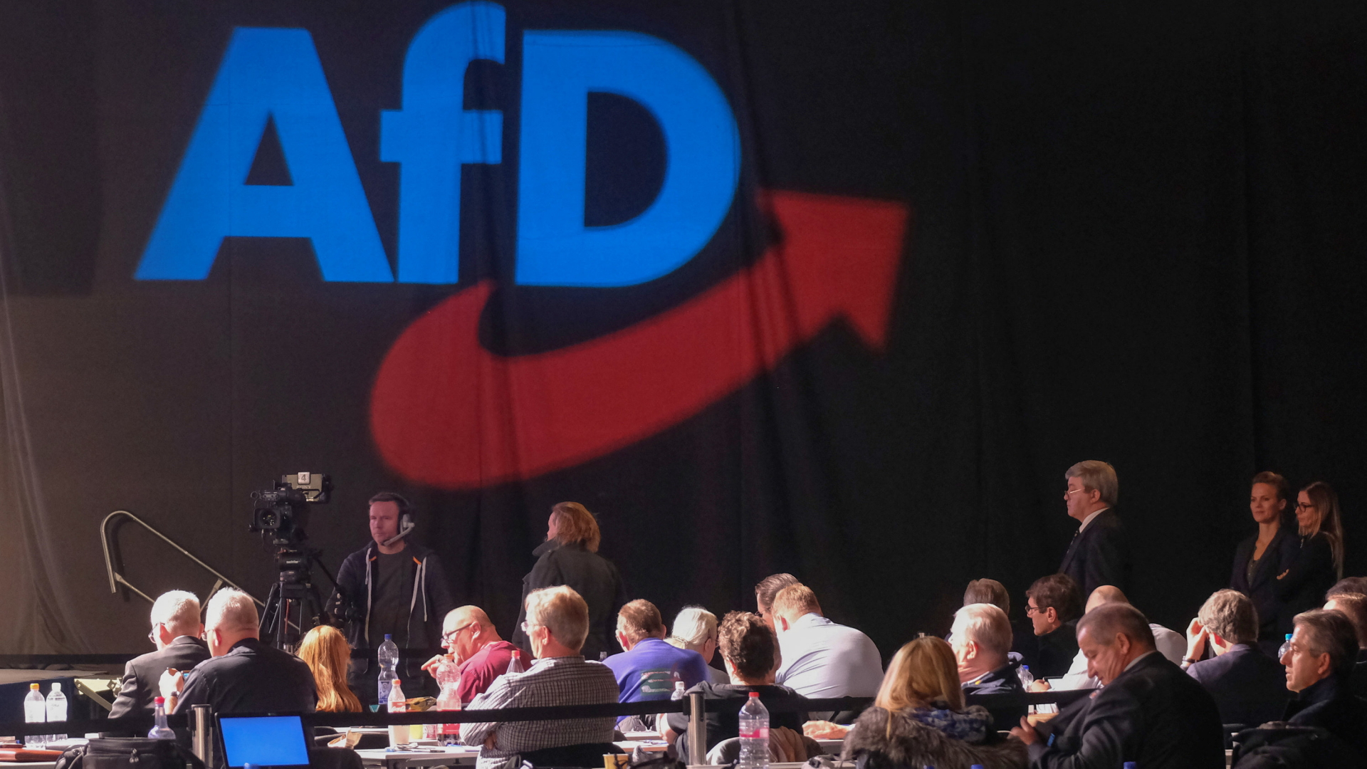 AfD-Europaparteitag in Magdeburg | dpa