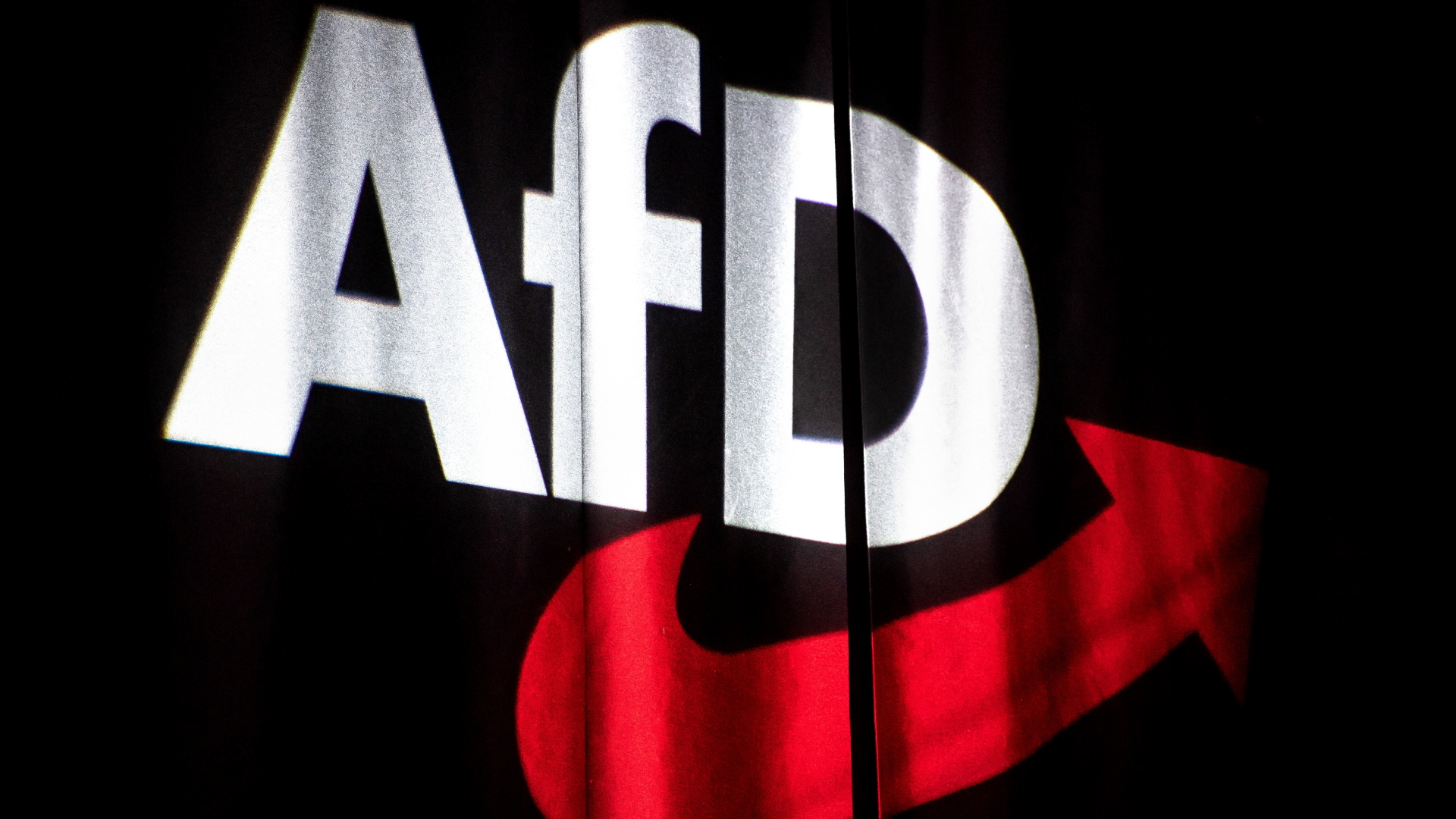 AfD-Logo | dpa