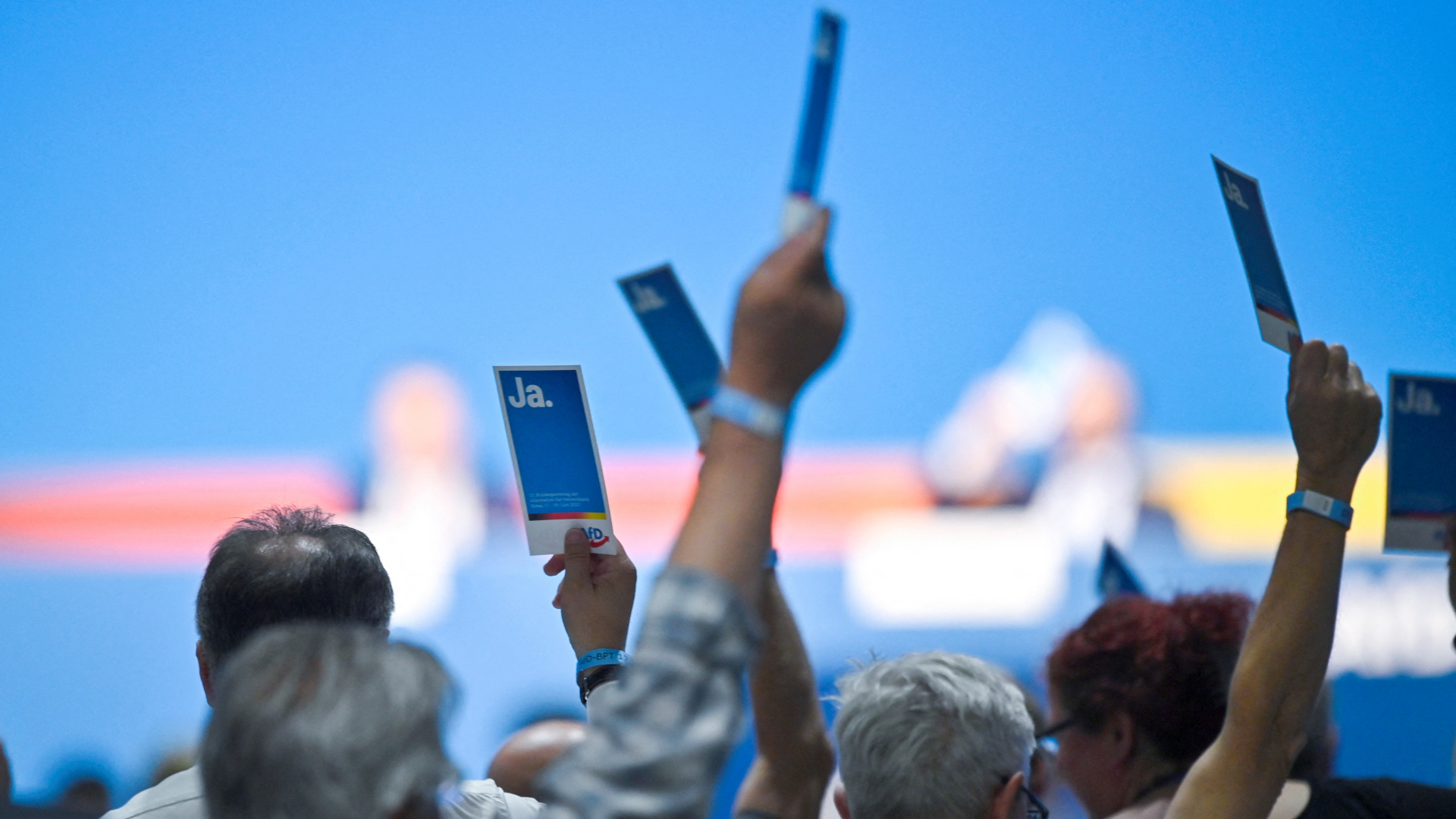 Delegierte stimmen auf dem AfD-Bundesparteitag in Riesa ab. | REUTERS