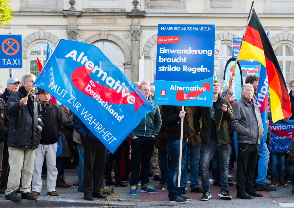 Anhänger der AfD protestieren in Hamburg