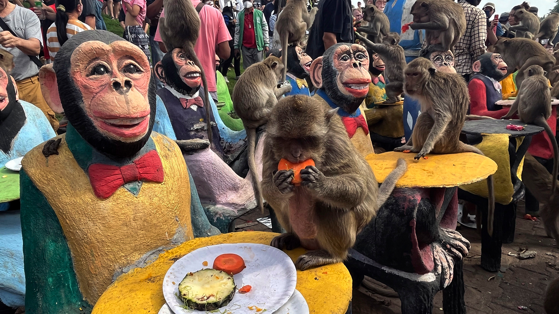 Affen genießen Obst während des Affenfestes in der Provinz Lopburi (Thailand). | AP