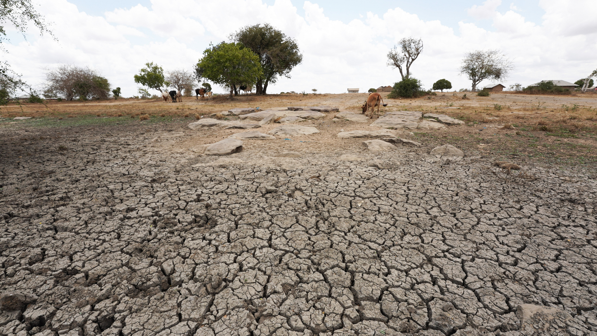 Auf einem Feld in Kenia ist die ausgetrocknete Erde während einer Dürre aufgerissen. | dpa
