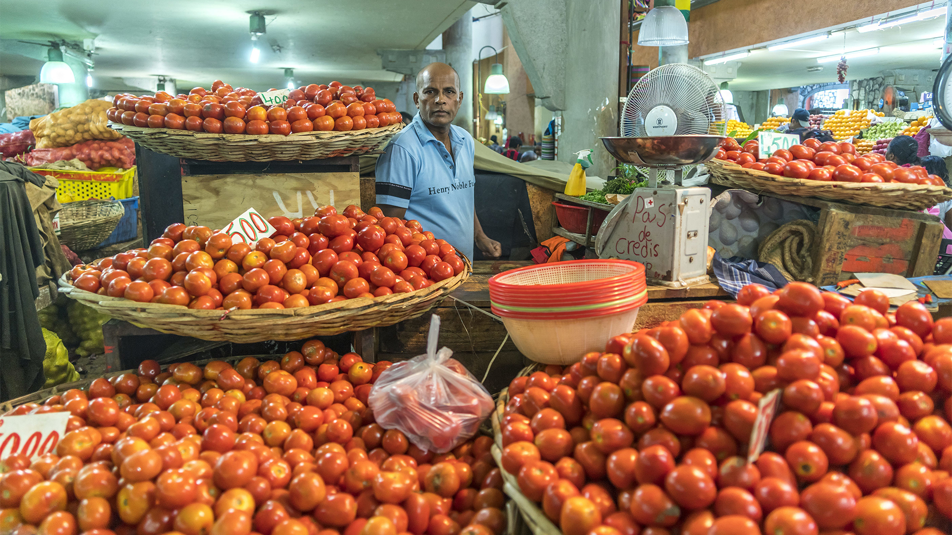 Ein Händler bietet auf einem Markt in Port Louis (Mauritius) Tomaten zum Kauf an | picture alliance / picture allia