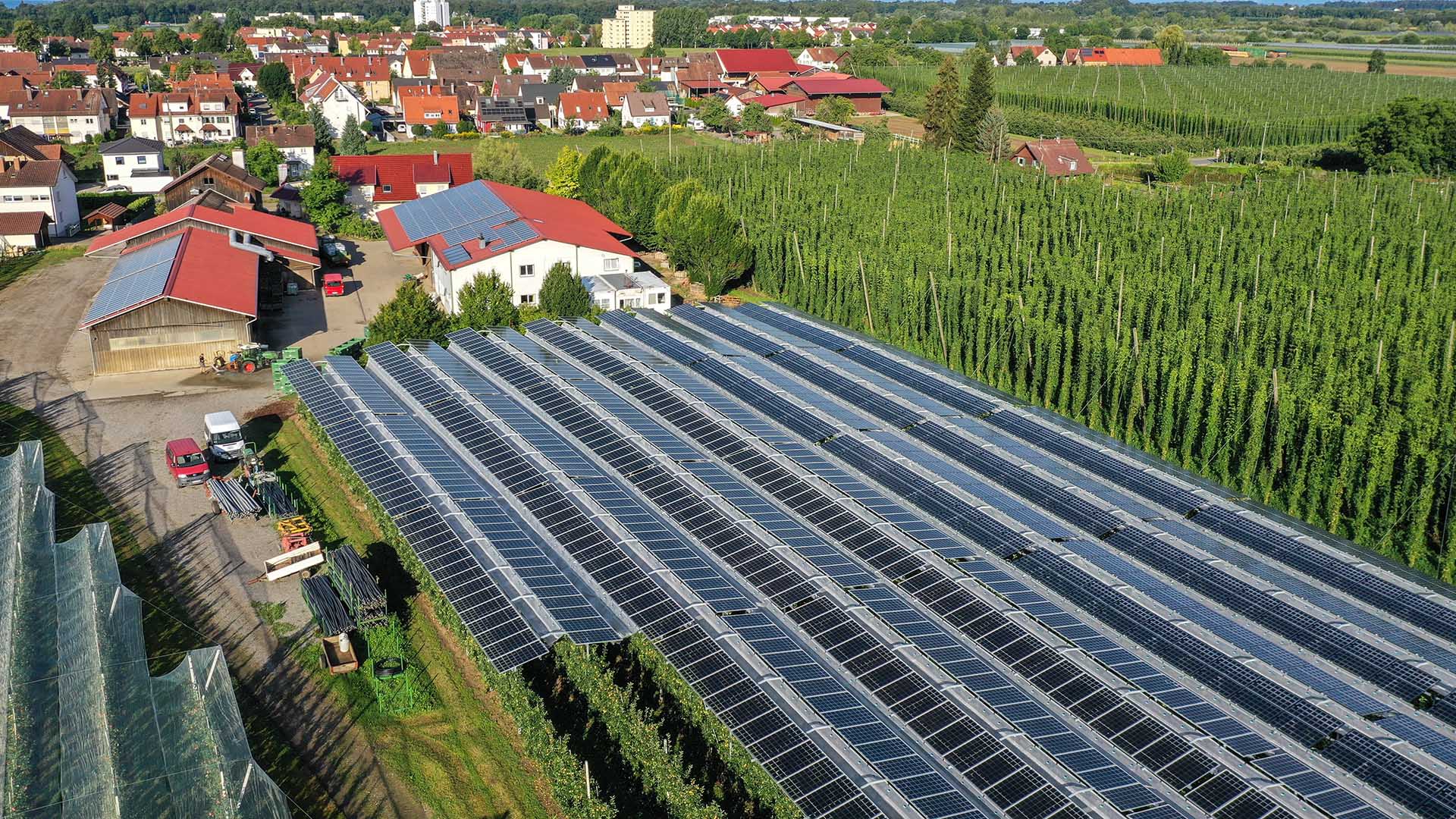 Eine Agri-Photovoltaik überspannt eine Apfelplantage. | picture alliance/dpa