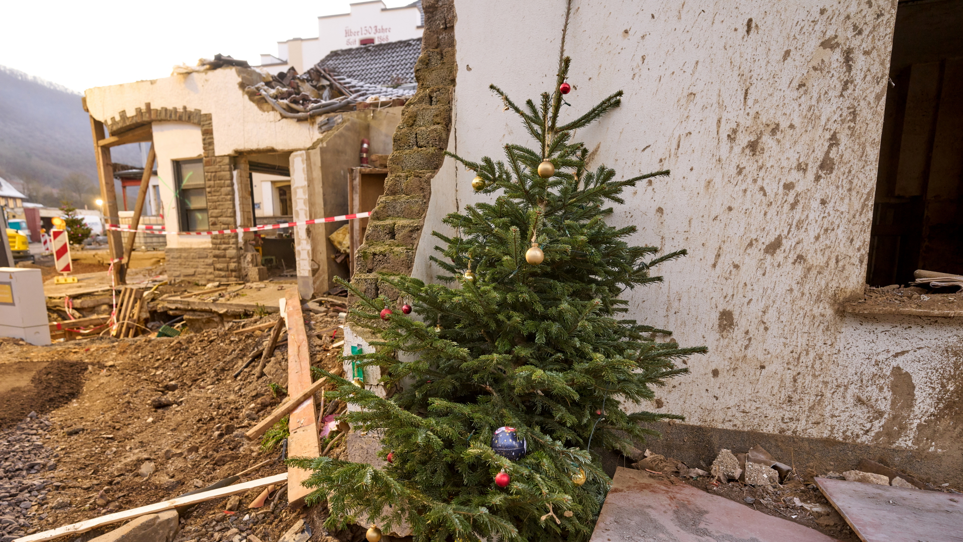 Ein Weihnachtsbaum steht vor einem von der Flut zerstörten Haus in Mayschoß | dpa