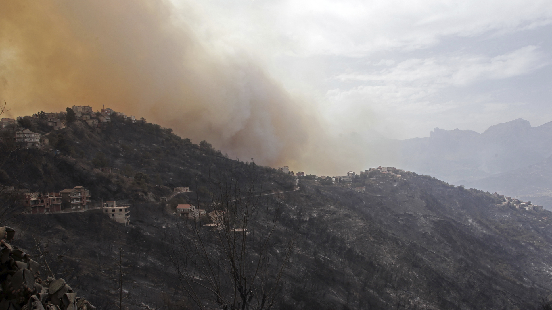 Rauch steigt neben einem Dorf in der Nähe von Tizi Ouzou auf. | dpa