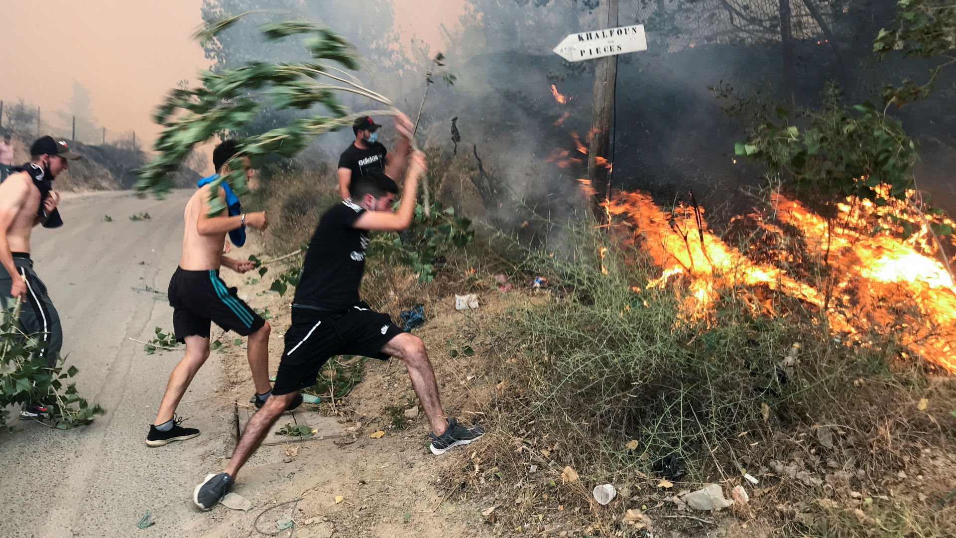 Menschen in Algerien versuchen mit Zweigen einen Waldbrand zu löschen | REUTERS