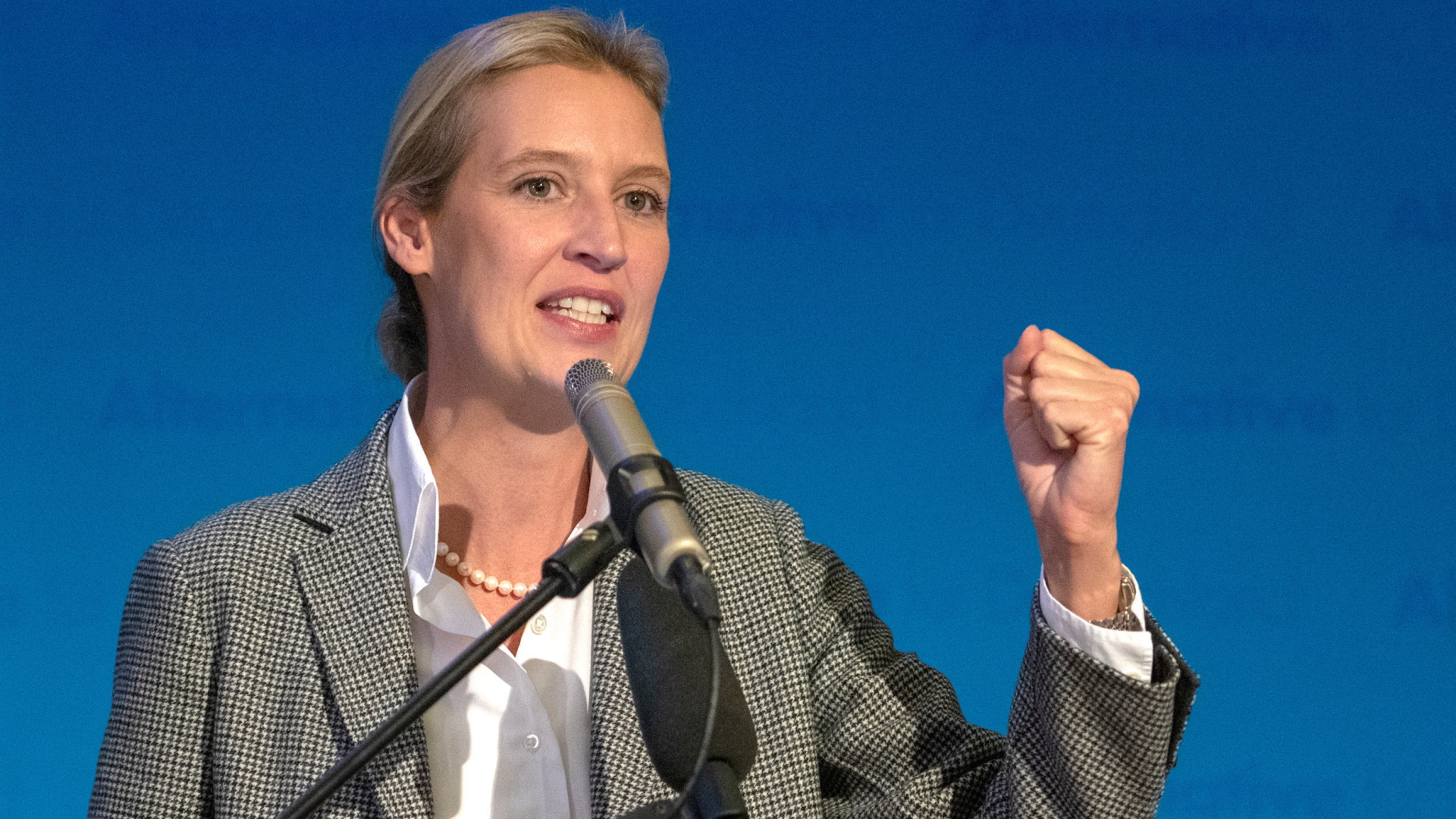 Alice Weidel, Vorsitzende der AfD-Bundestagsfraktion, spricht und gestikuliert. | dpa