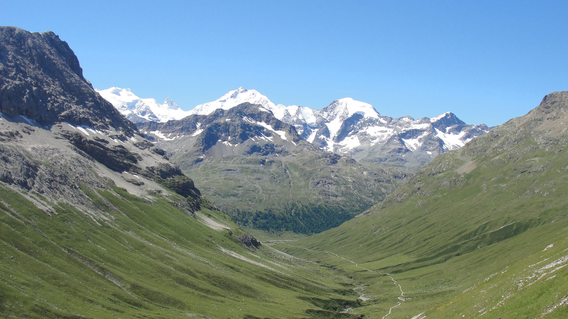 Blick vom Val da Fain auf den Piz Bernina in der Schweiz | dpa