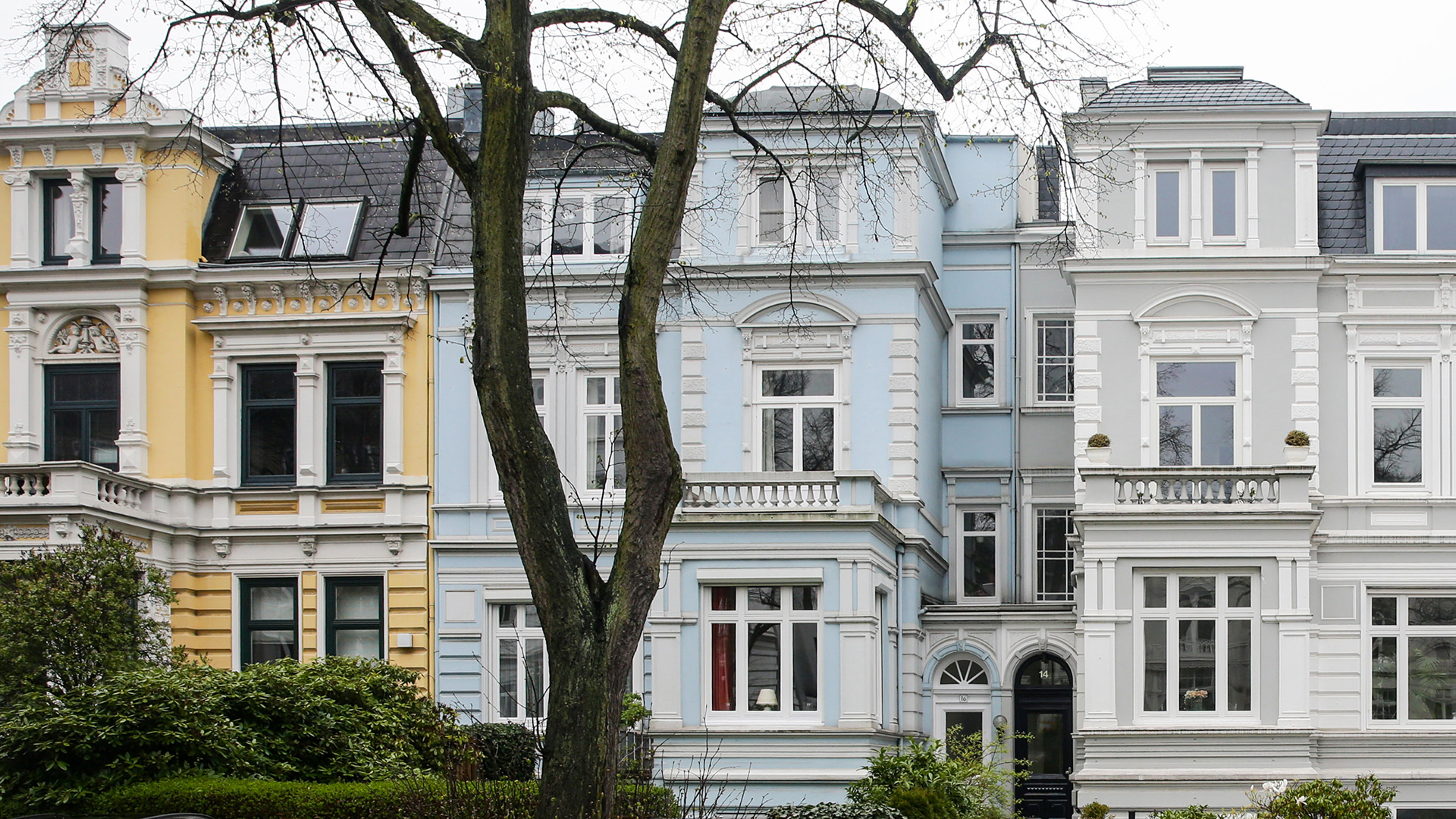 Drei Altbau-Villen stehen nebeneinander in einer Straße in Hamburg-Harvestehude.