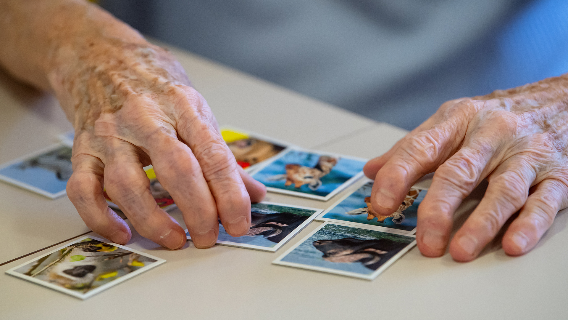 Die Hände einer alten Frau liegen auf Karten eines Gedächtnisspiels. | dpa