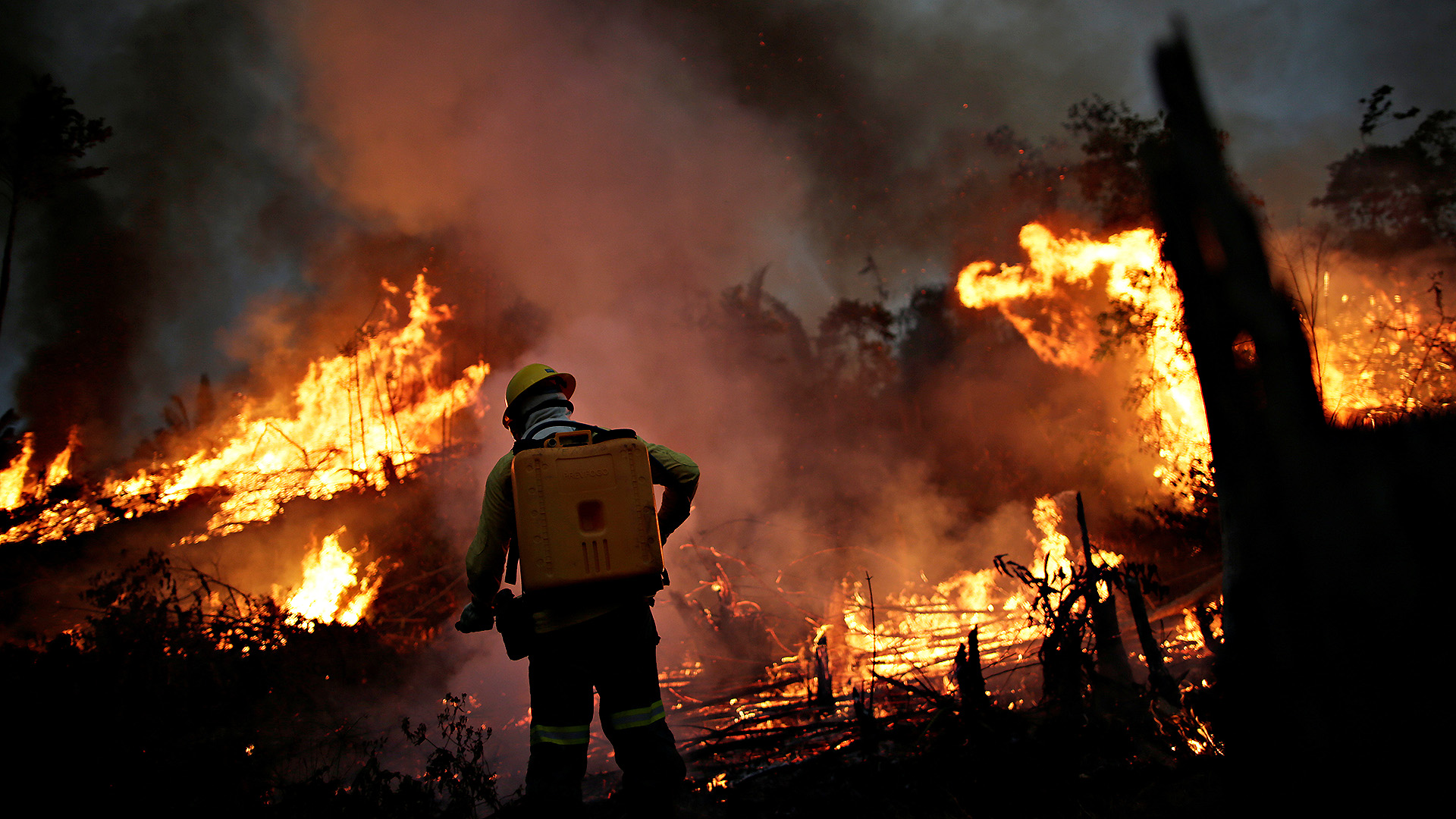 Feuer im Amazonas | REUTERS