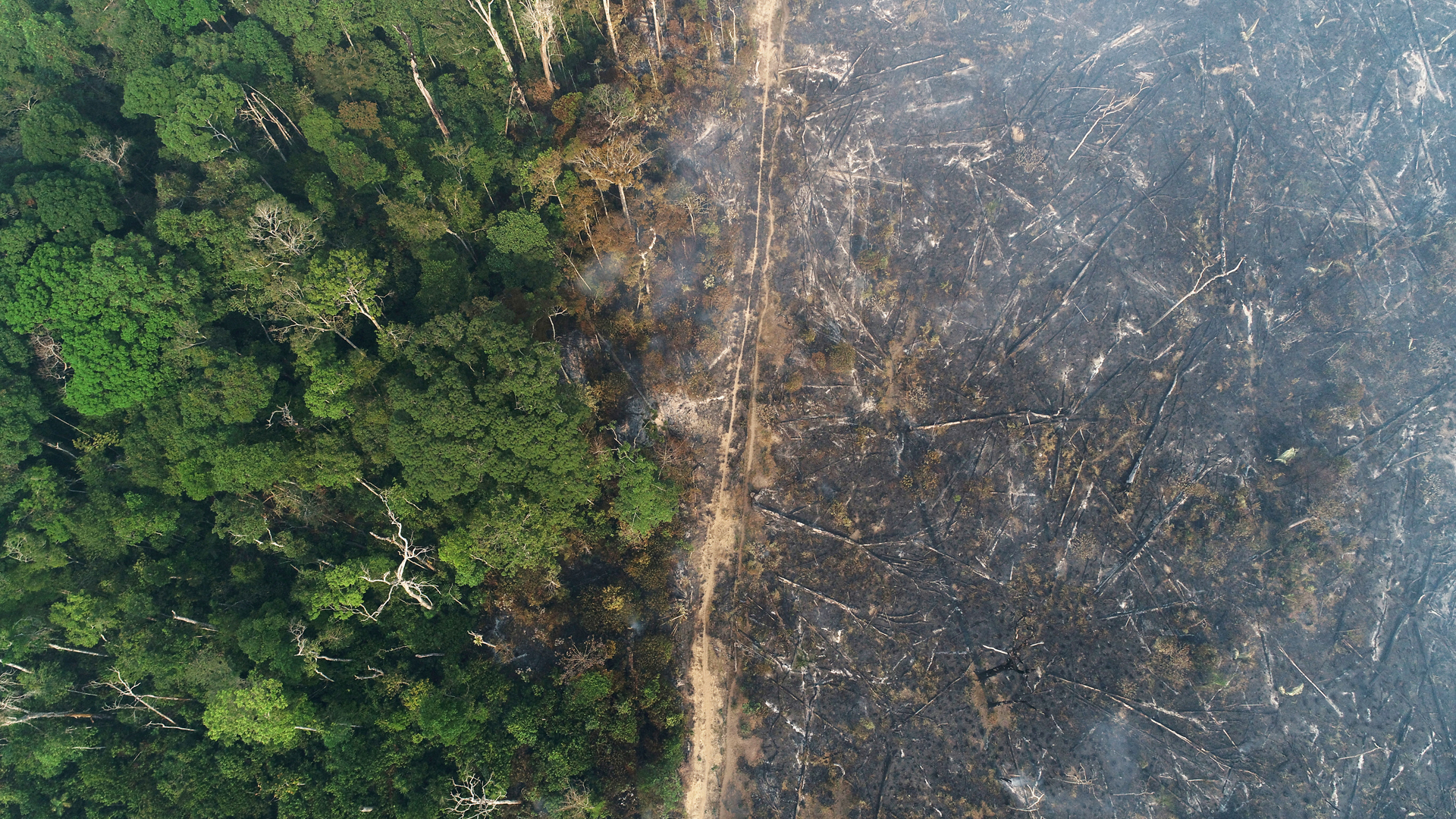 Teil des Amazonas-Dschungels, der bei der Abholzung durch Holzfäller und Landwirte brennt. | REUTERS