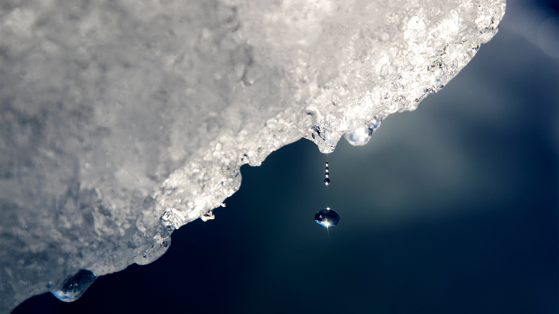 Ein Wassertropfen fällt von einem schmelzenden Eisberg. | Bildquelle: dpa