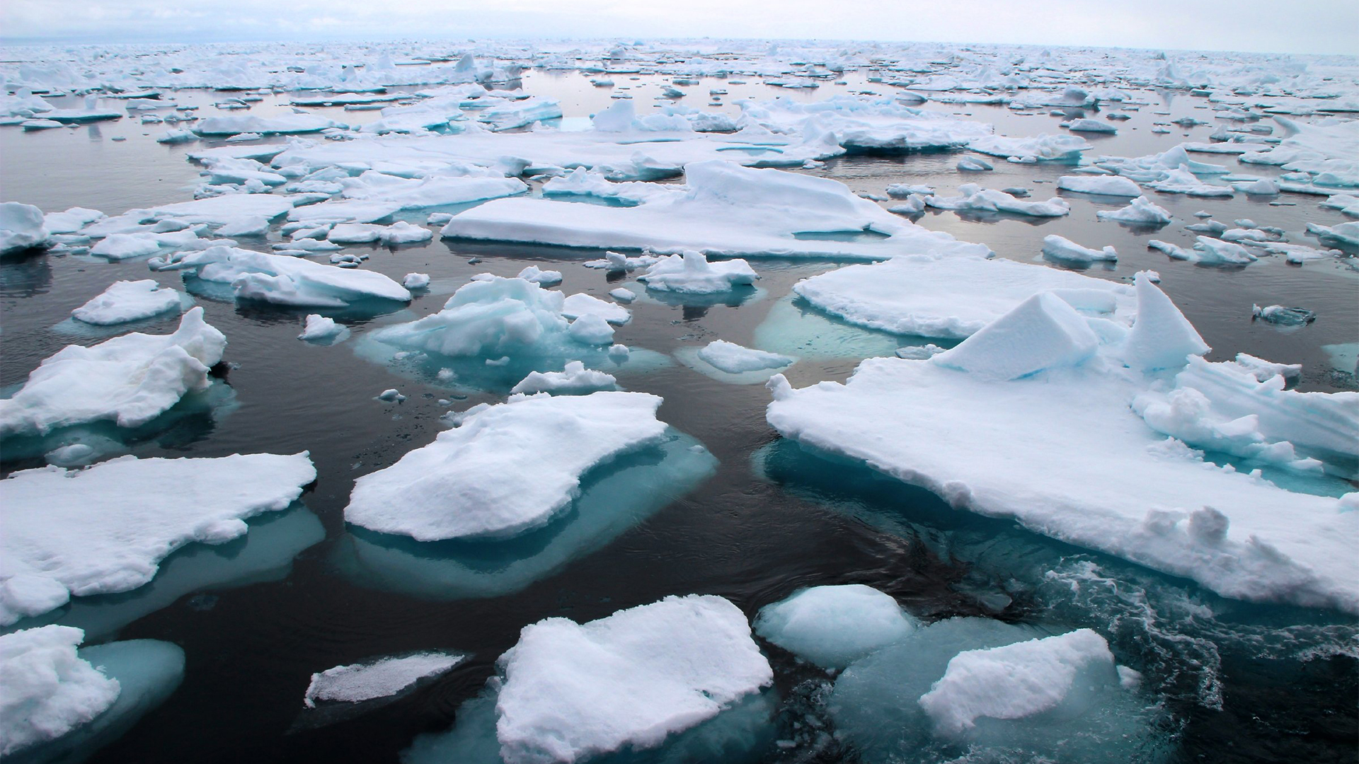 Plastikabfälle schwimmen auf der Wasseroberfläche in der Framstrasse der Arktis zwischen Ostgrönland und Spitzbergen | dpa