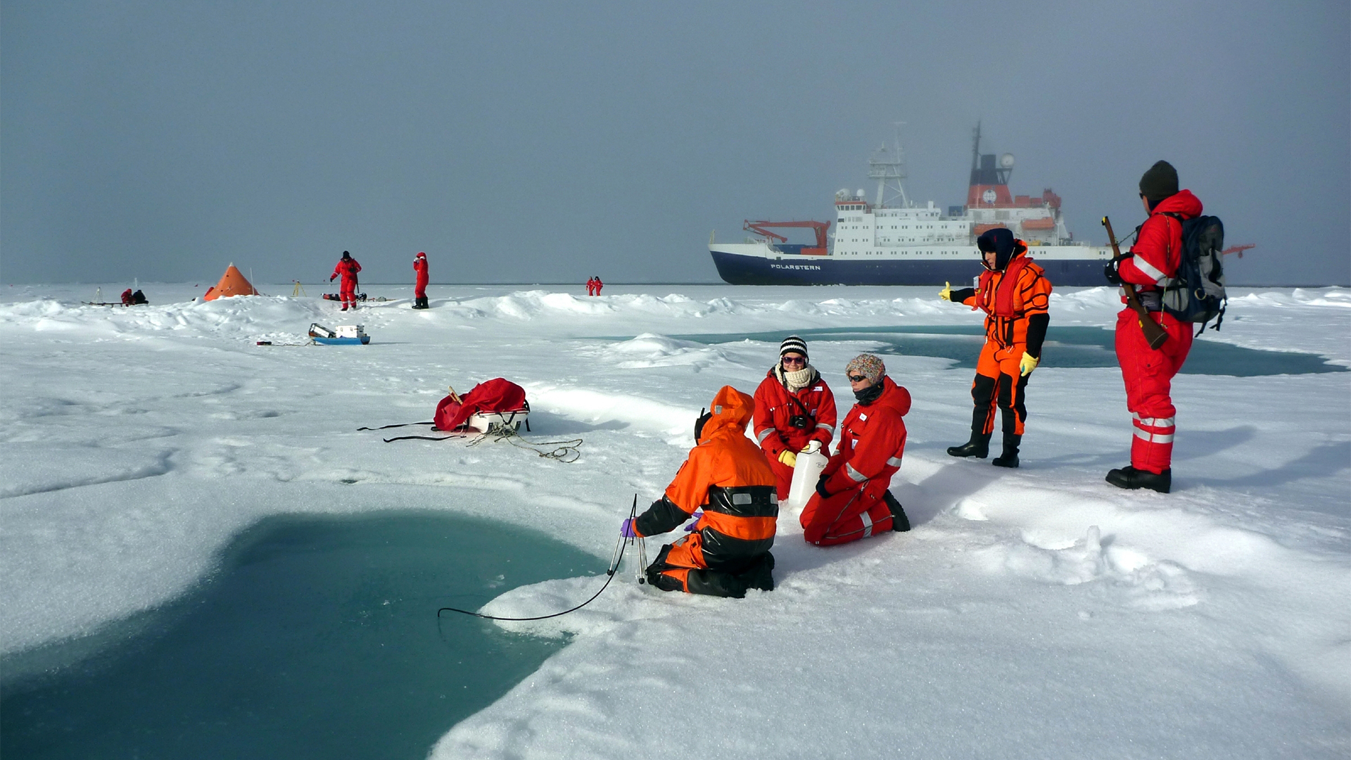 Arktis: Wissenschaftler vom Alfred-Wegener-Institut beproben einen Schmelztümpel auf arktischem Meereis