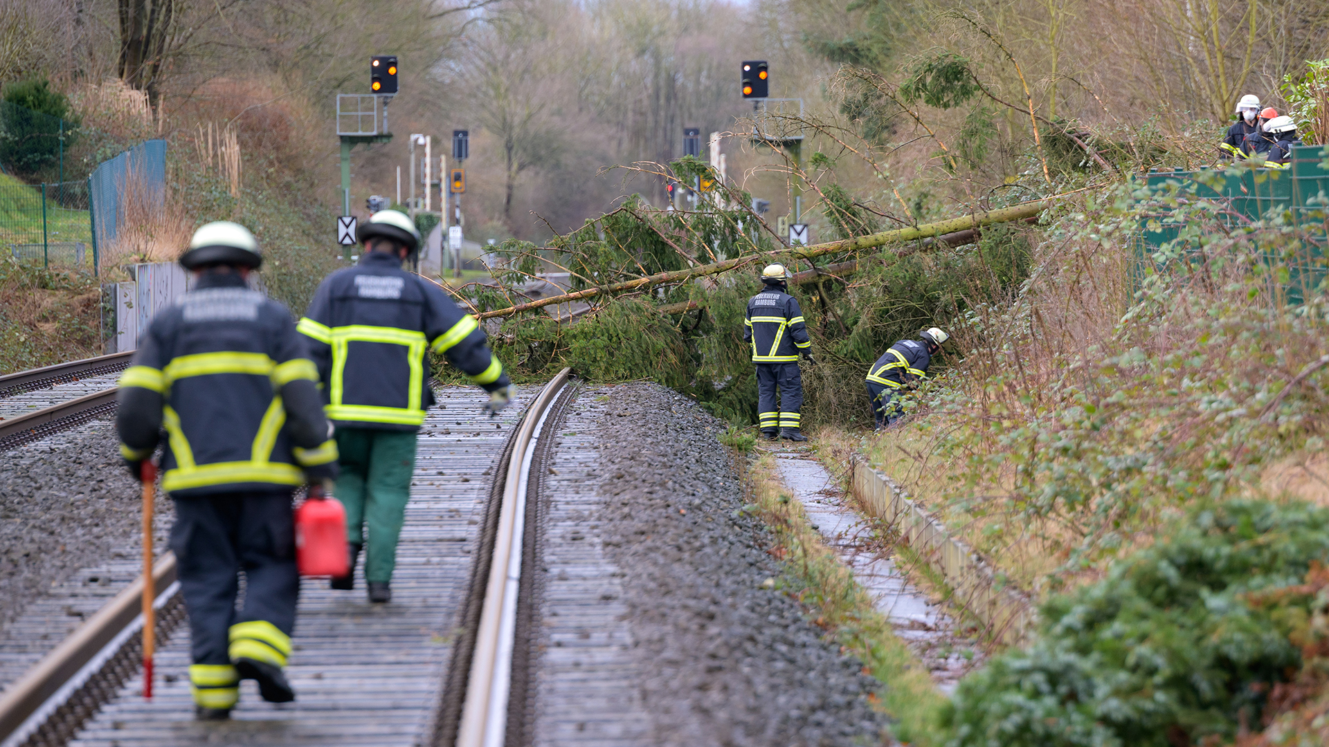 Feuerwehrleute arbeiten auf Bahngleisen an umgestürzten Bäumen | dpa