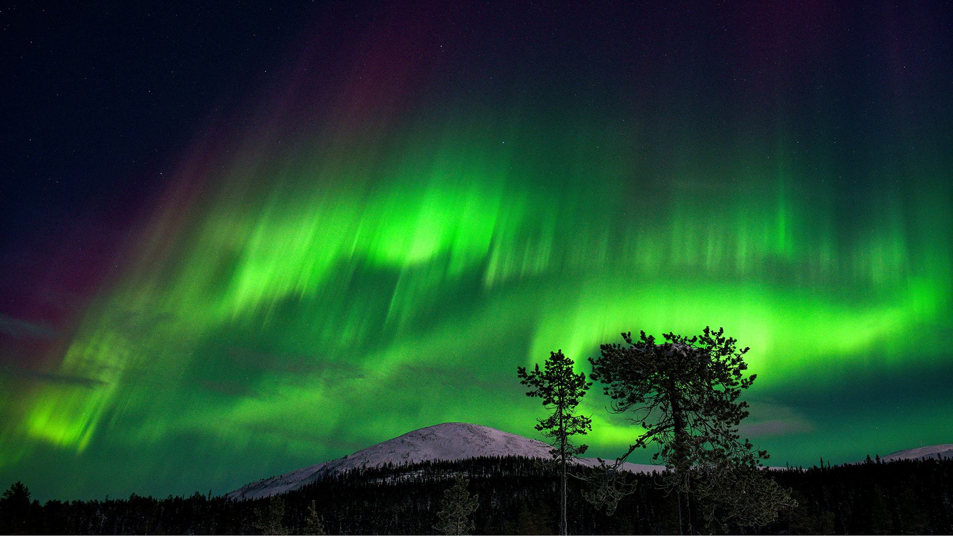 Aurora Borealis, besser bekannt als Nordlichter, erleuchtet den Nachthimmel über dem Kellostapuli Fjell in Kolari, Lappland, Finnland. | via REUTERS