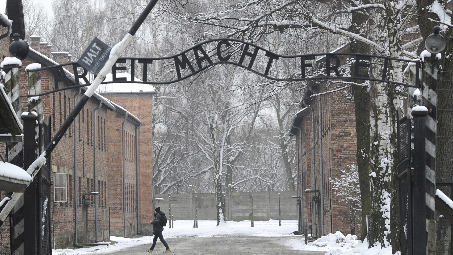 Eingang zum Vernichtungslager Auschwitz | Bildquelle: AP