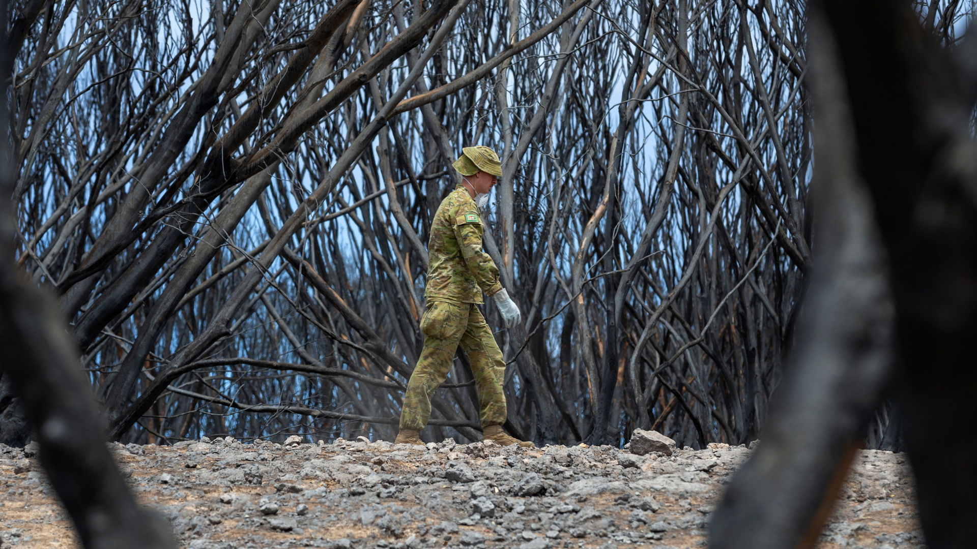 Ein australischer Soldat sucht nach verendeten Tieren. | CPL TRISTAN KENNEDY/FIRST JOINT 