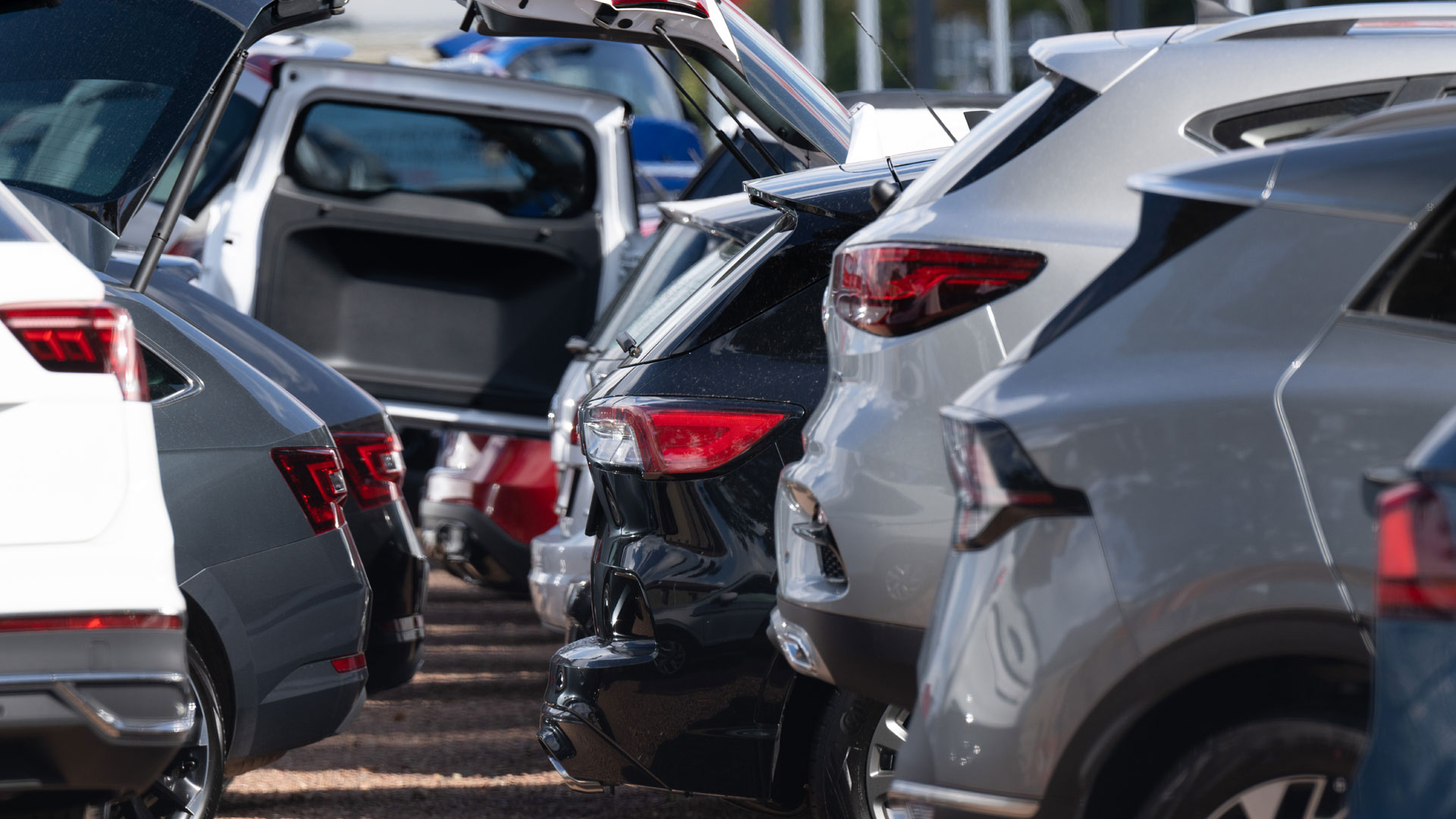 Neuwagen und Gebrauchtwagen stehen bei einem Autohändler nebeneinander. | picture alliance/dpa
