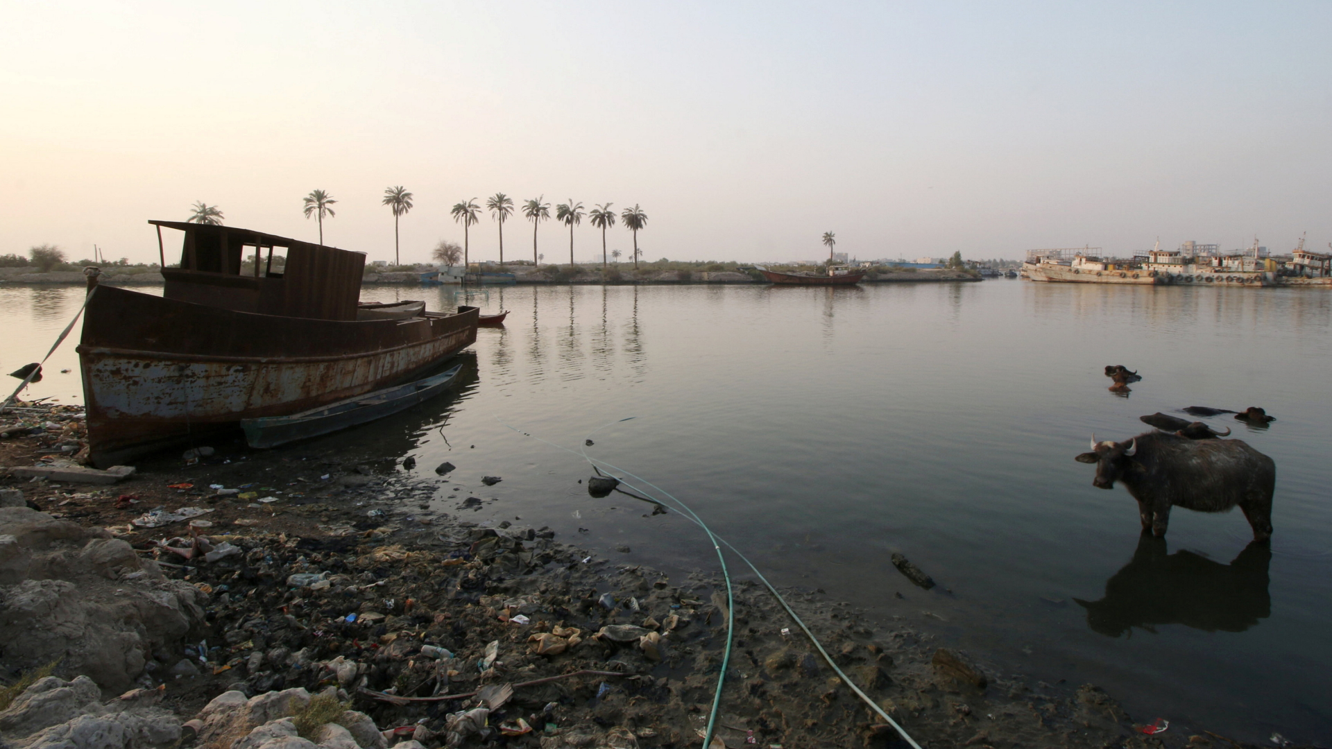 Der Schat al-Arab östlich von Basra | Bildquelle: REUTERS