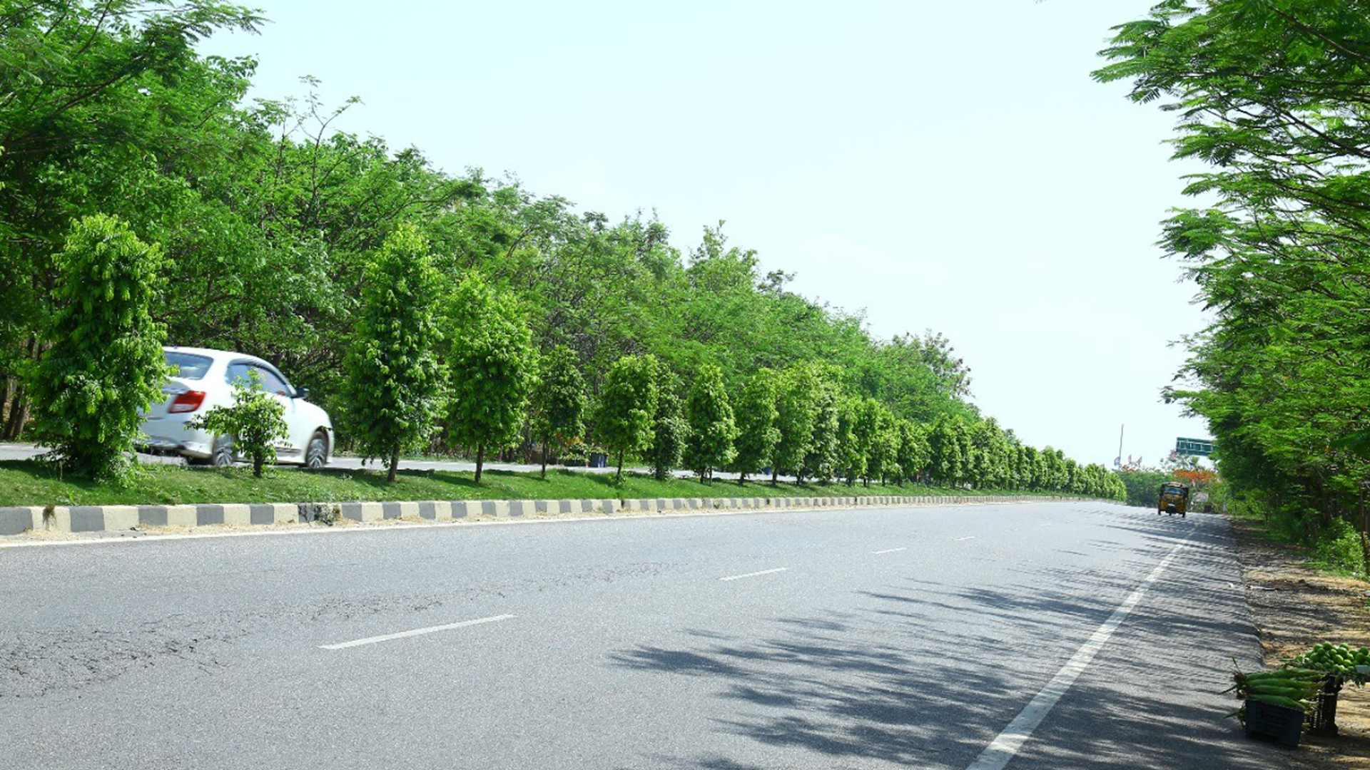 Eine begrünte Straße in Hyderabad | ARD Neu-Delhi