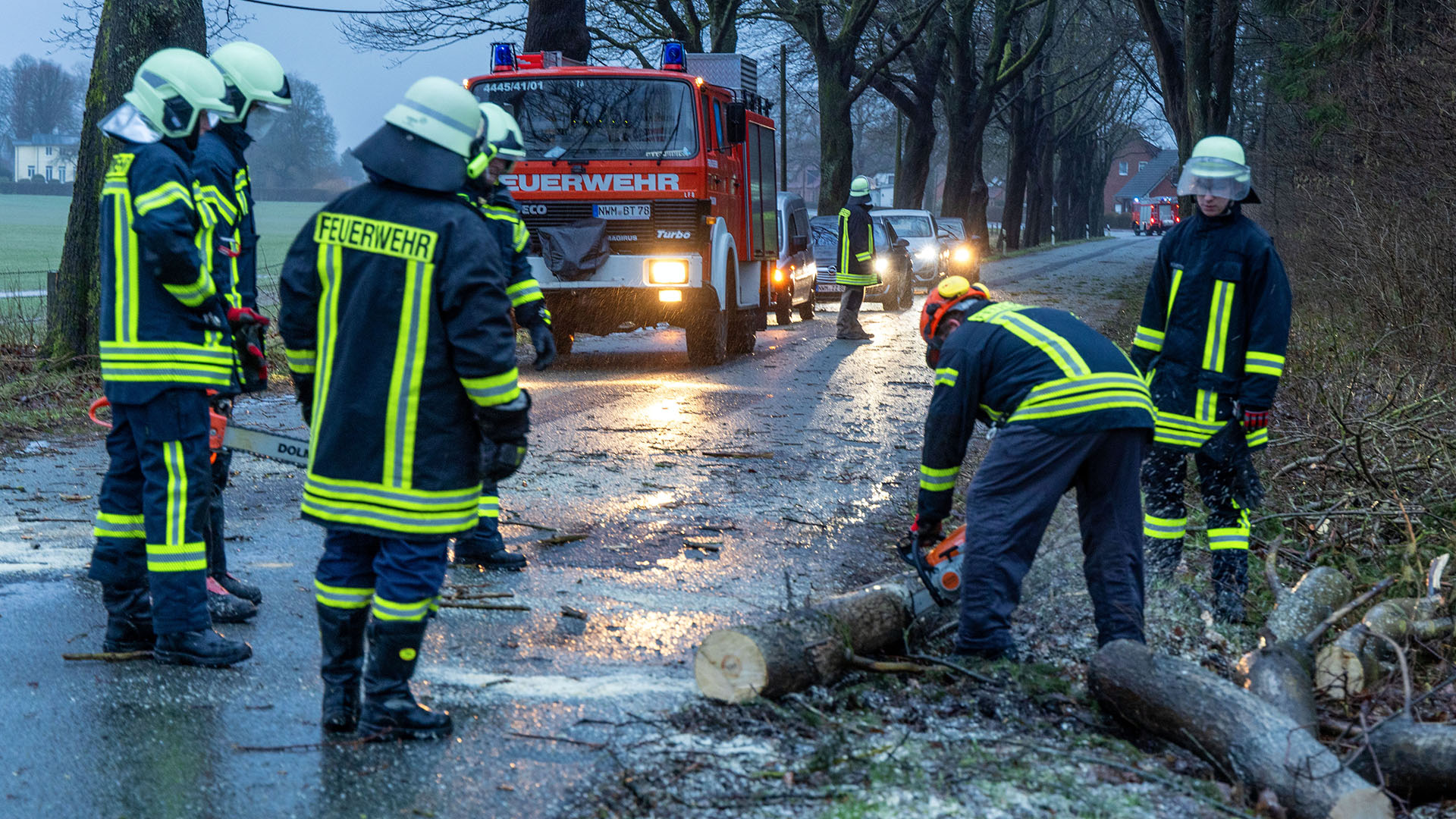 Feuerwehrleute räumen einen umgestürzten Baum von einer Kreisstraße in Mecklenburg-Vorpommern. | dpa