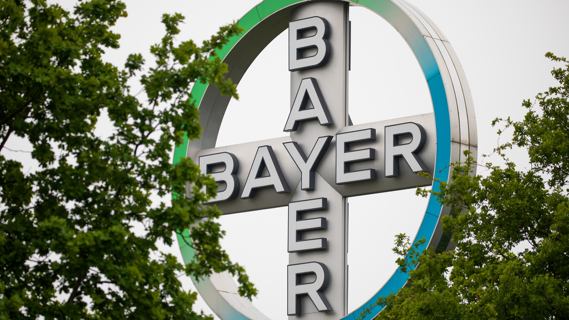 Das Bayer Kreuz, Logo des Unternehmens Bayer, steht zwischen Bäumen am Flughafen Köln/Bonn.  | dpa