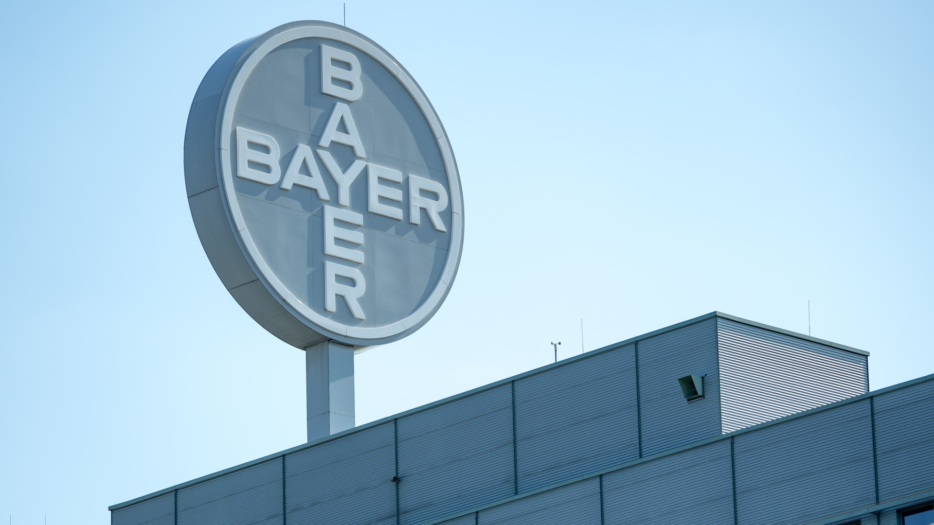 Logo Bayer | dpa