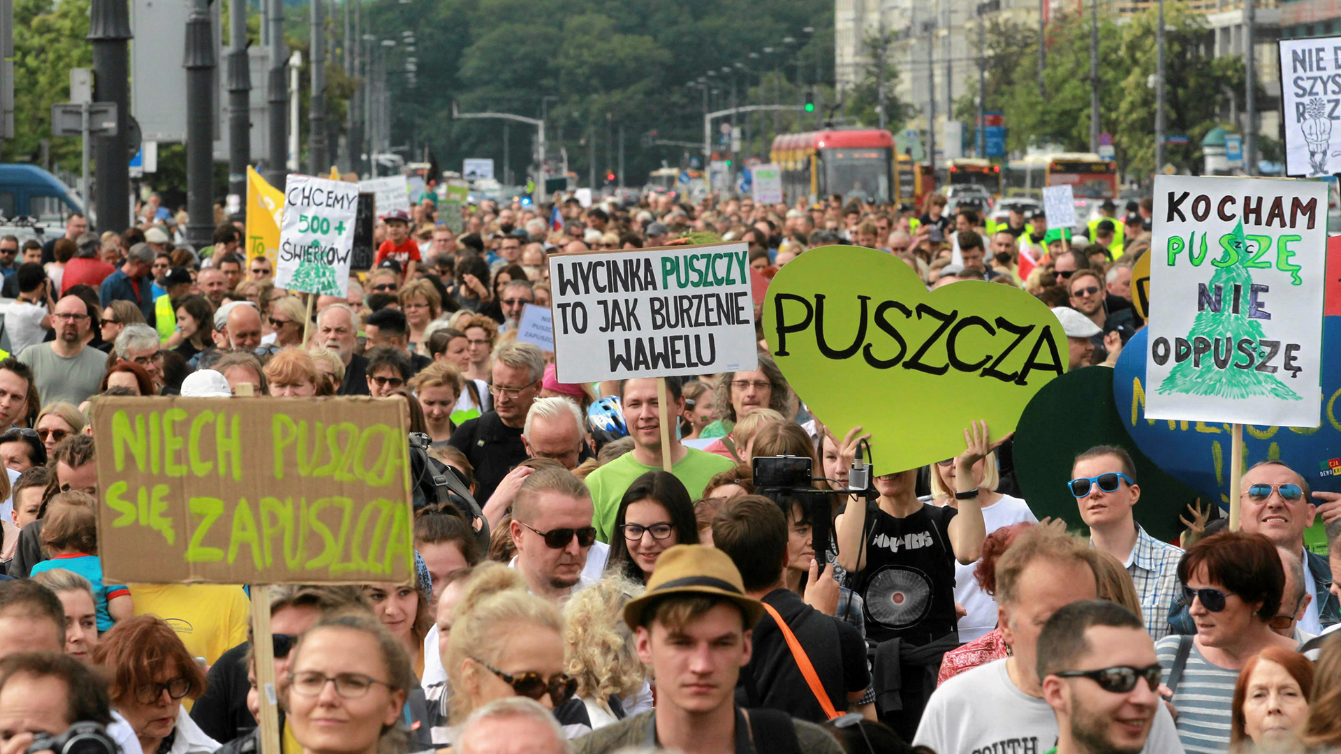 Proteste gegen die Rodung im Bialowieza-Urwald | REUTERS
