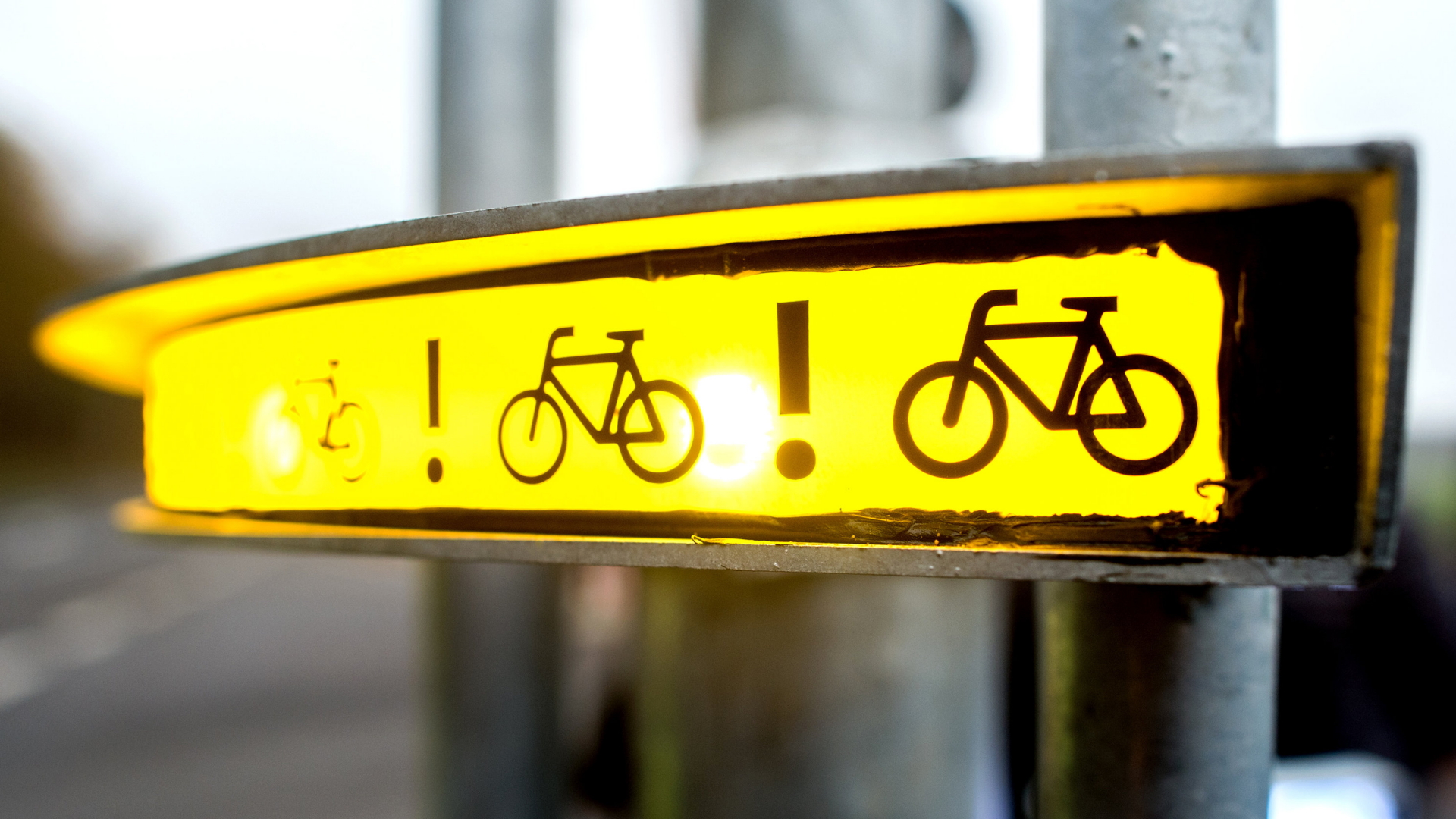 Ampel des neuen Radwarnsystems "Bike-Flash" | Bildquelle: dpa