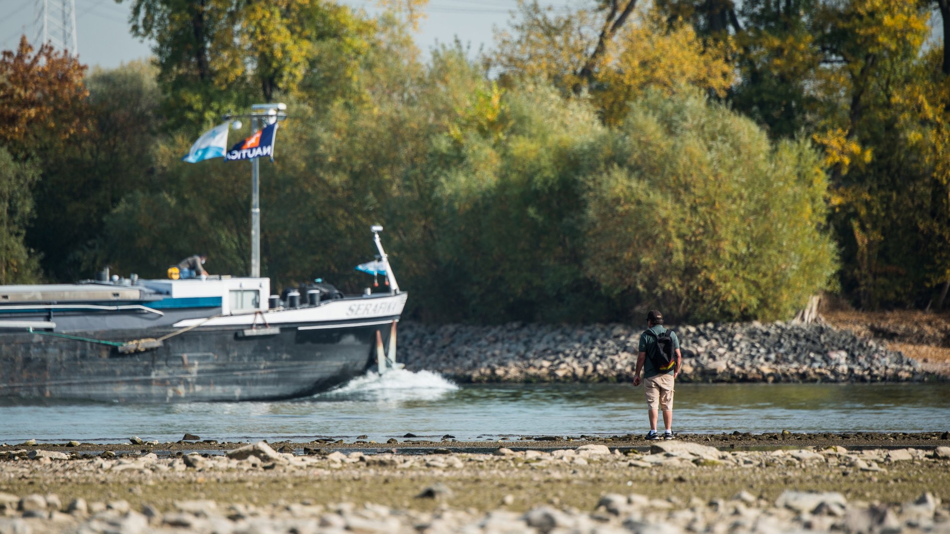 Ein Mann beobachtet ein Binnenschiff im Rhein, das in der verbliebenen schmalen Fahrrinne passiert. | dpa
