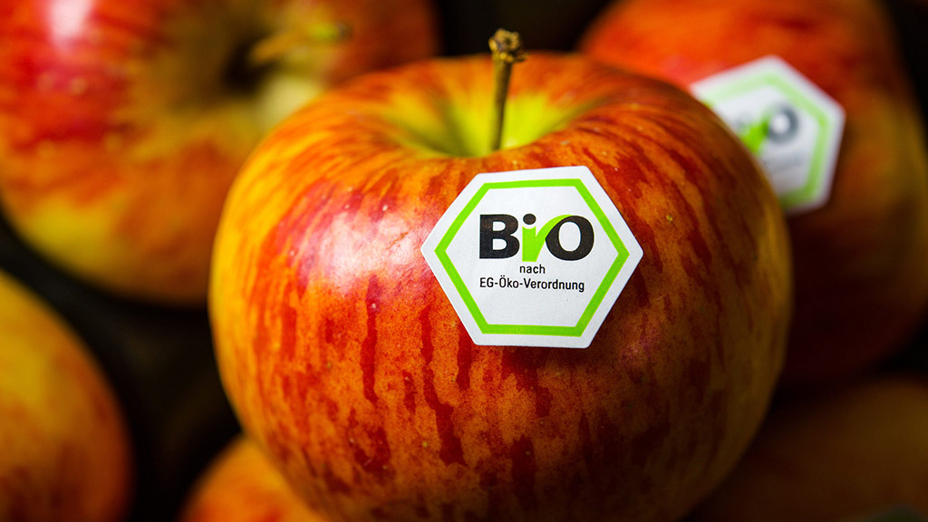 Ein Apfel mit dem Bio-Siegel nach EU-Ökoverordnung